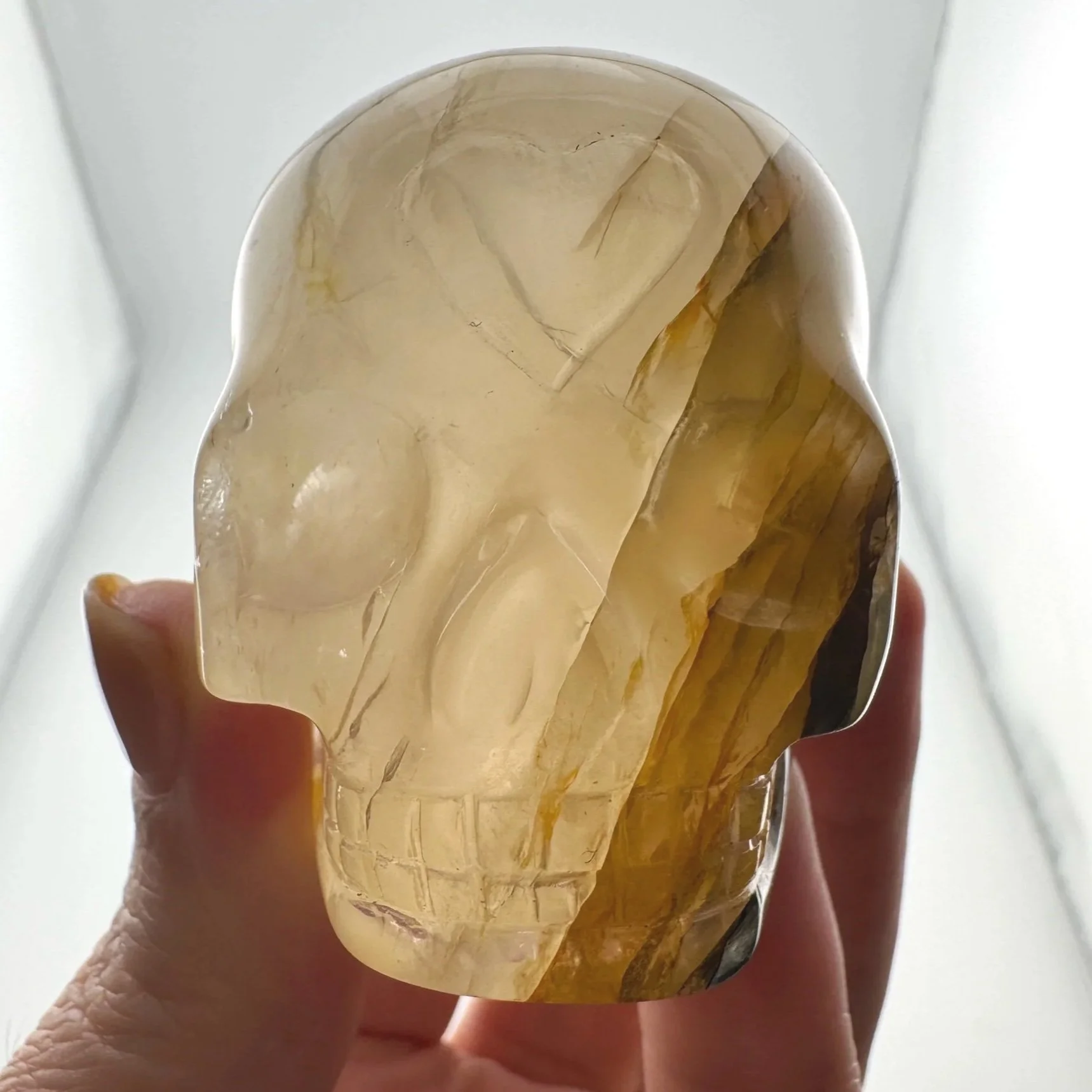 Leandro de Souza Golden Healer Skull