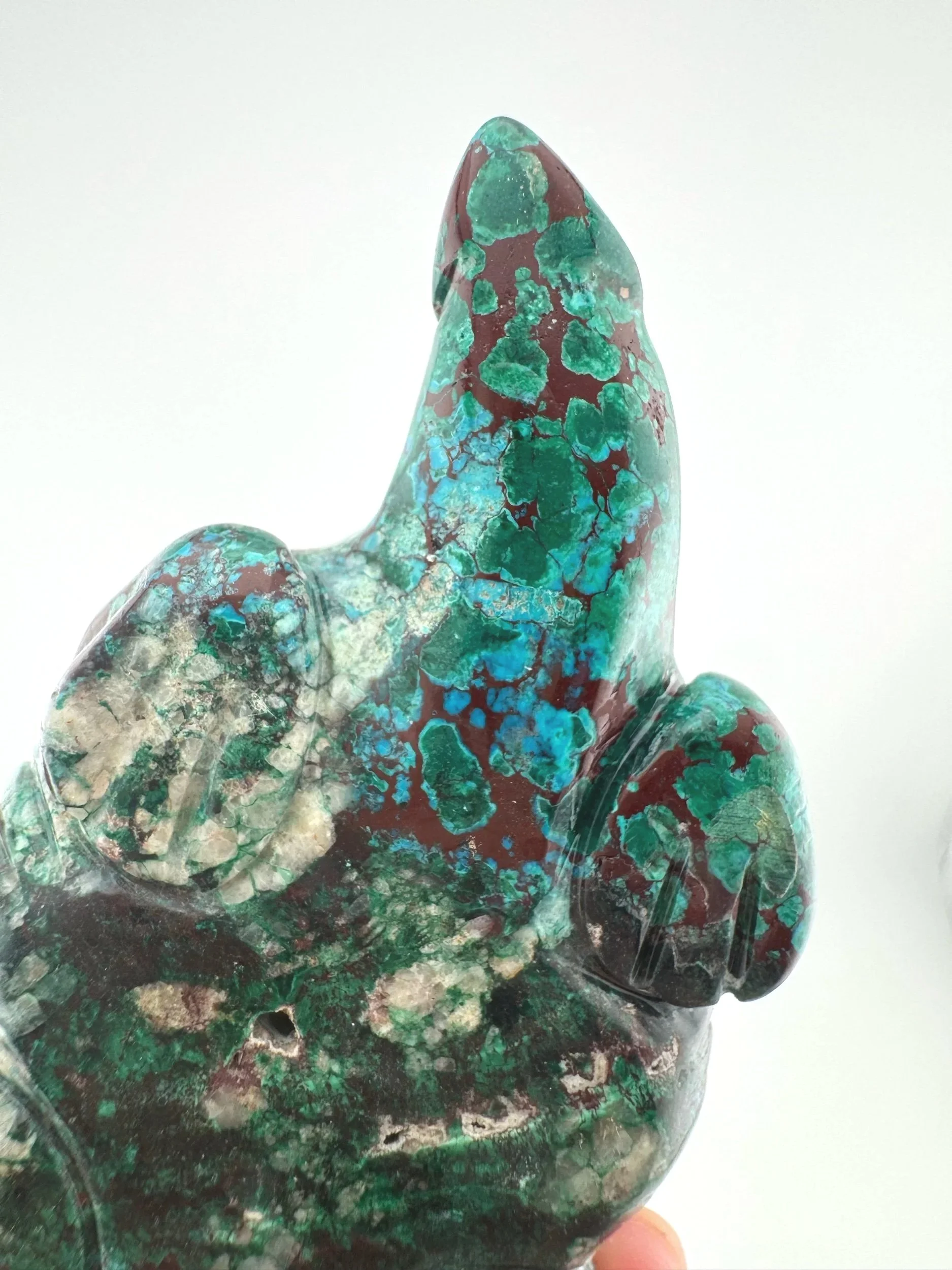 Leandro de Souza Malachite Chrysocolla Dodo Dragon