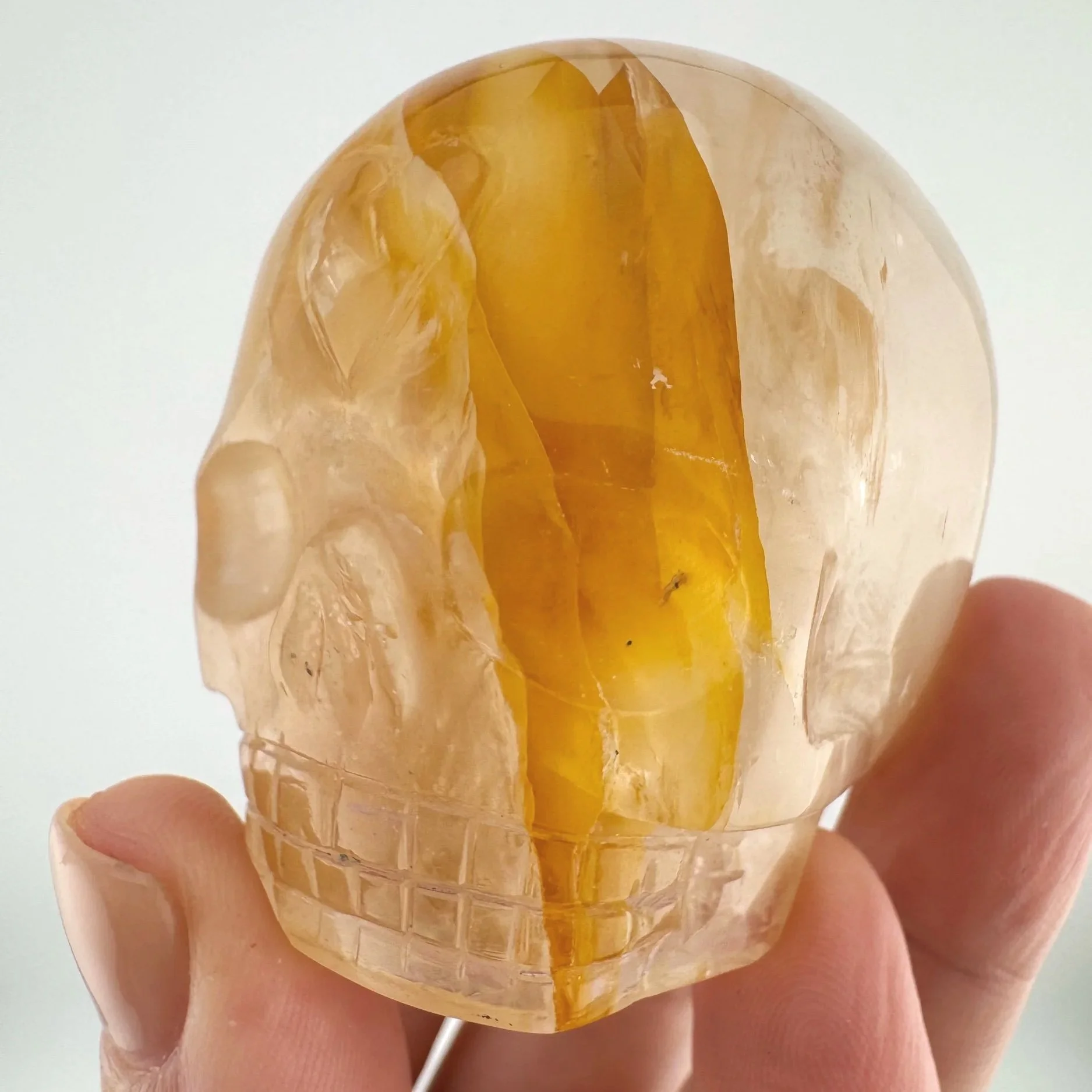 Leandro de Souza Golden Healer Magical Child Skull
