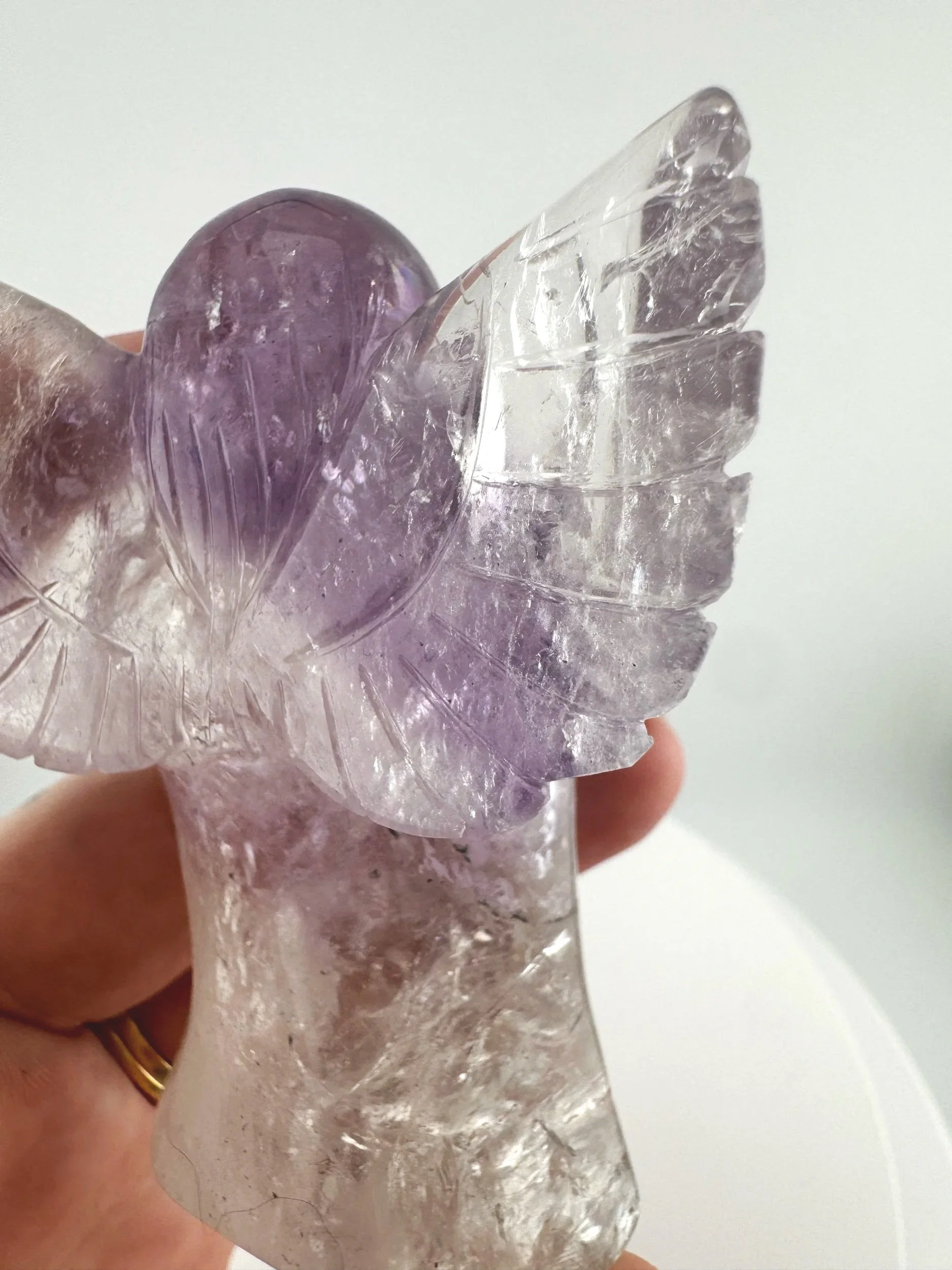 Leandro de Souza Bahia Phantom Amethyst Angel