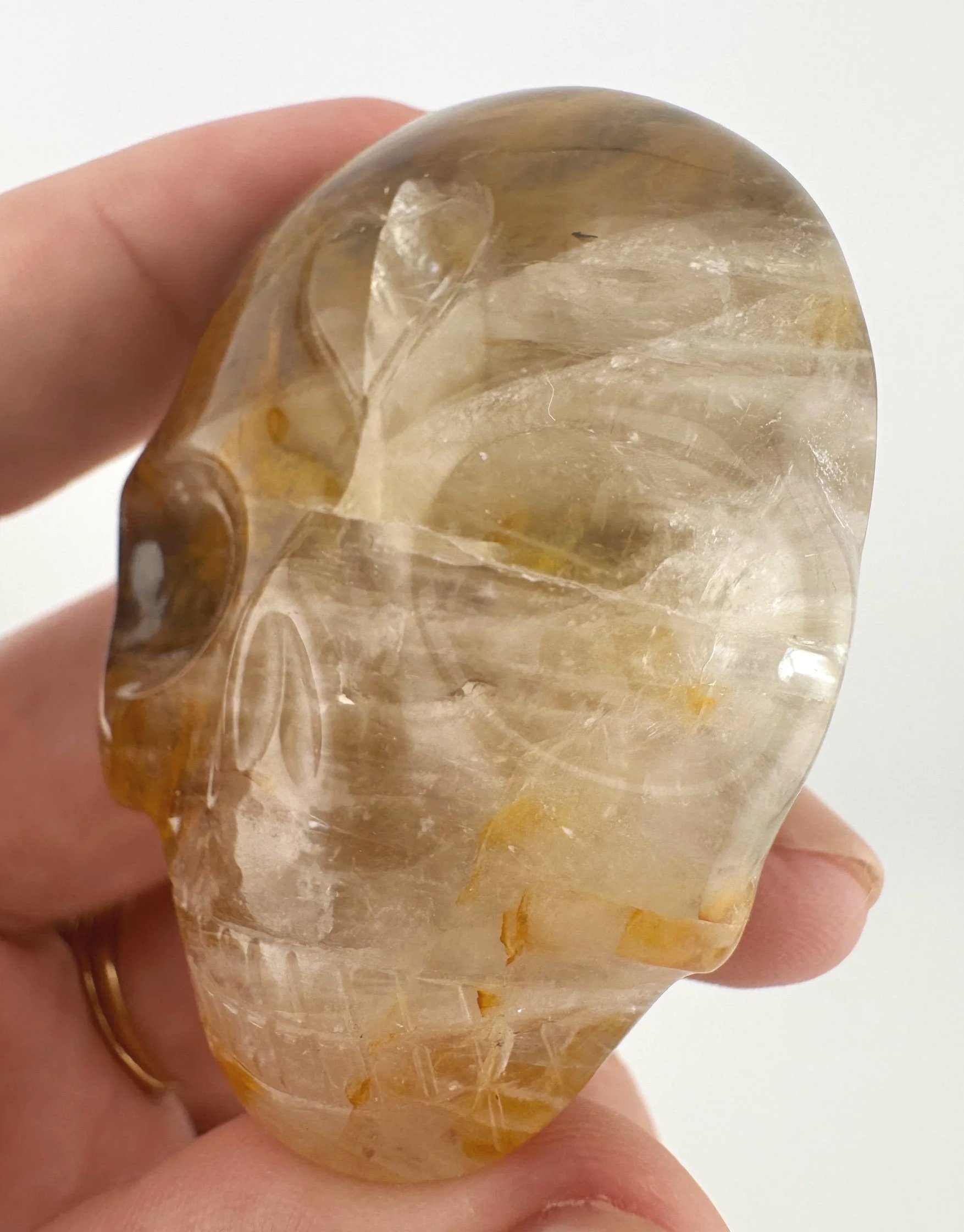 Leandro de Souza Golden Healer Palm Skull