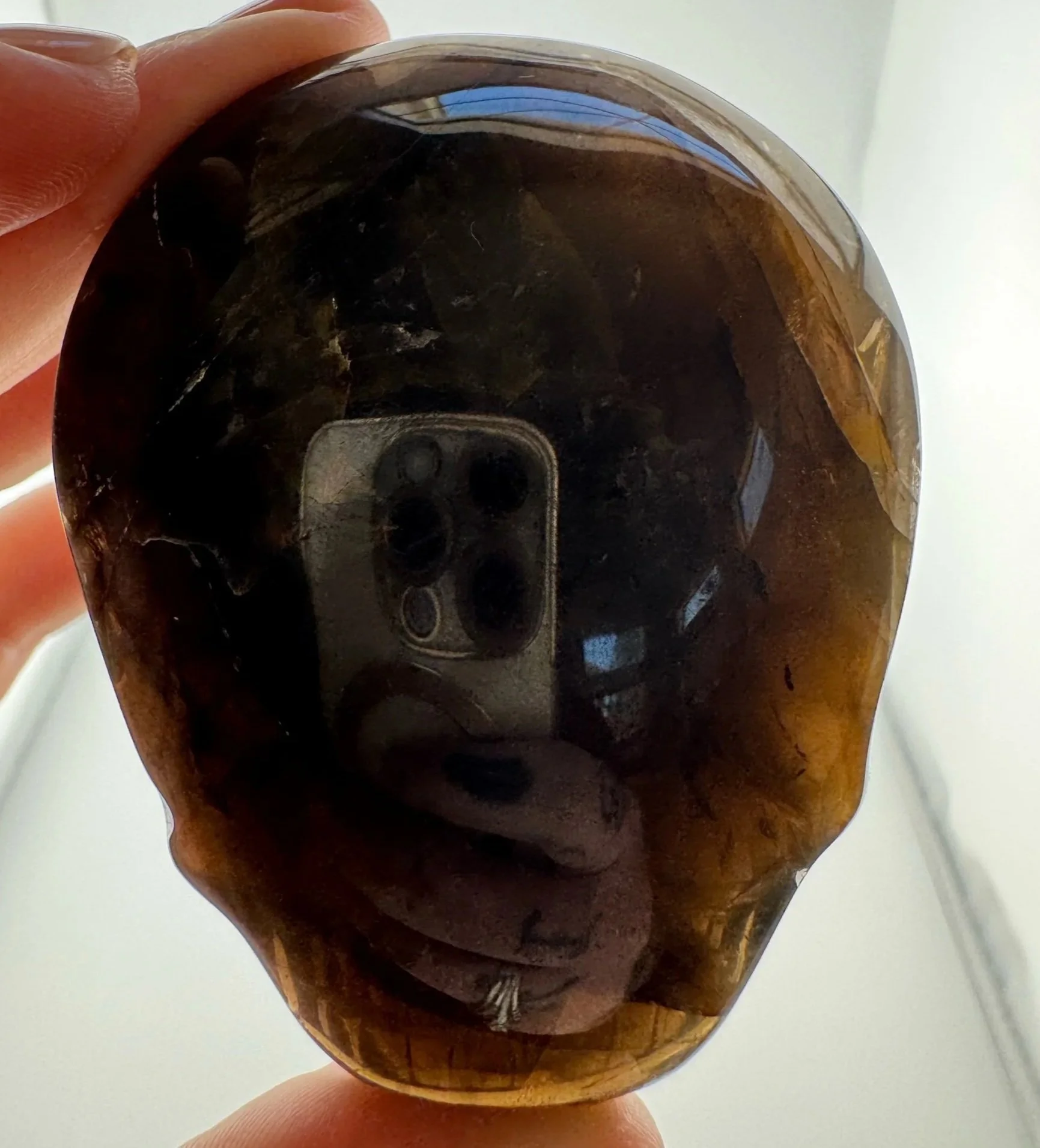 Leandro de Souza Smoky Golden Healer Palm Skull