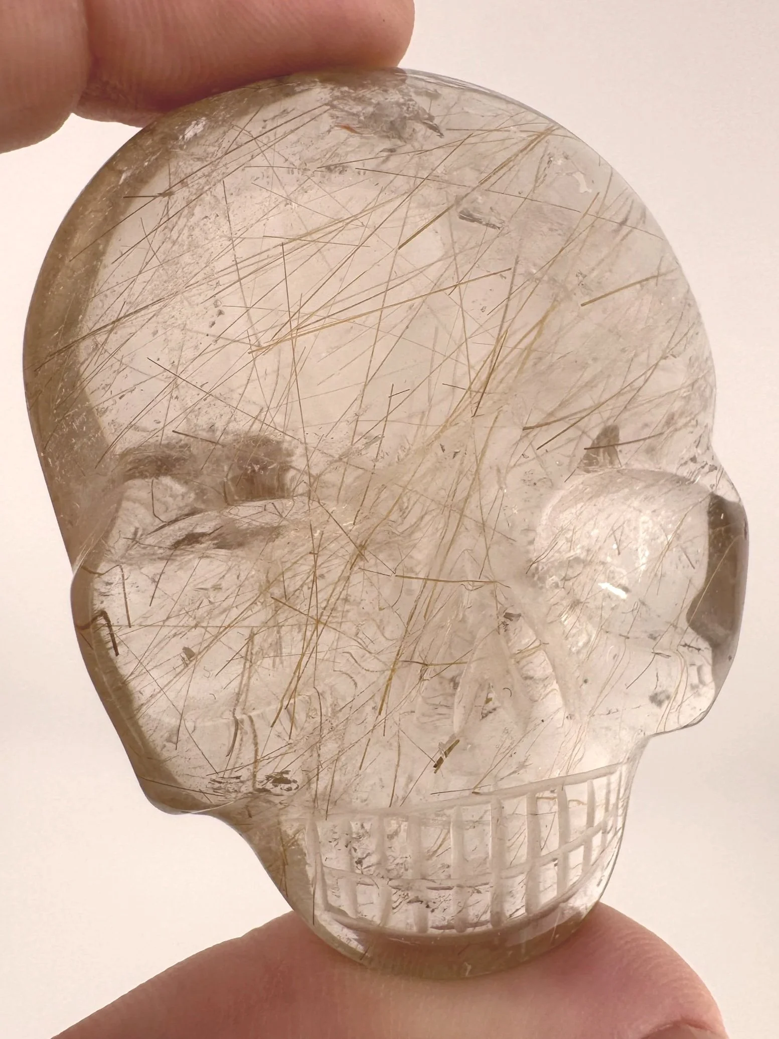 Leandro de Souza Golden Rutile in Quartz Magical Child Palm Skull