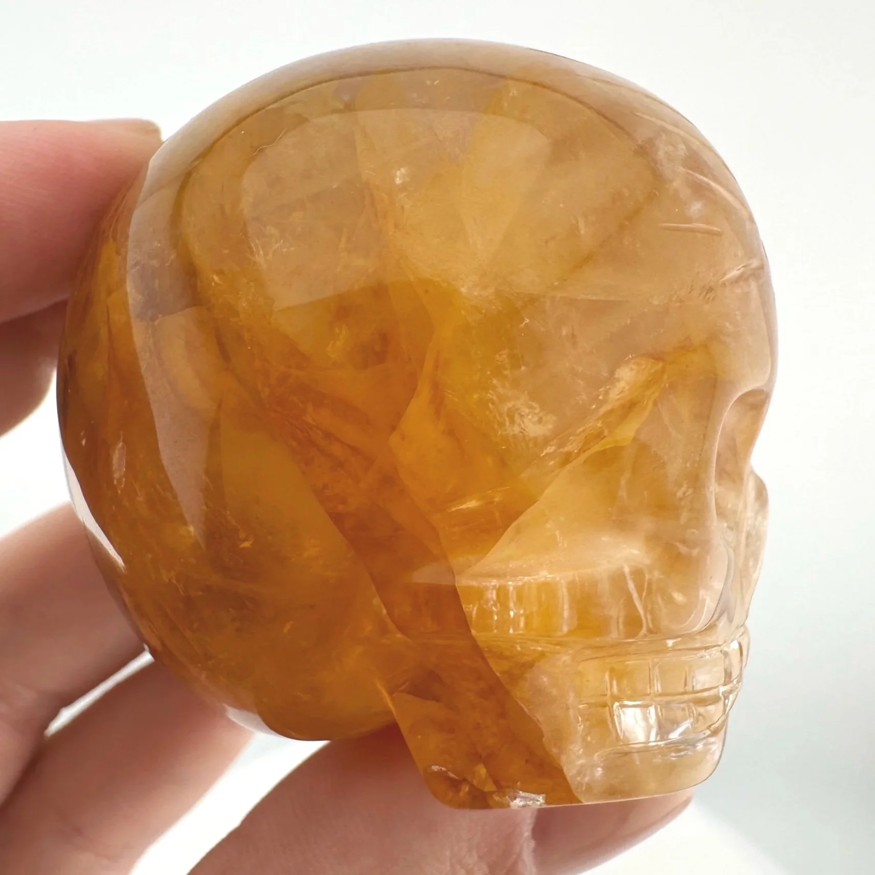 Leandro de Souza Golden Healer Magical Child Skull