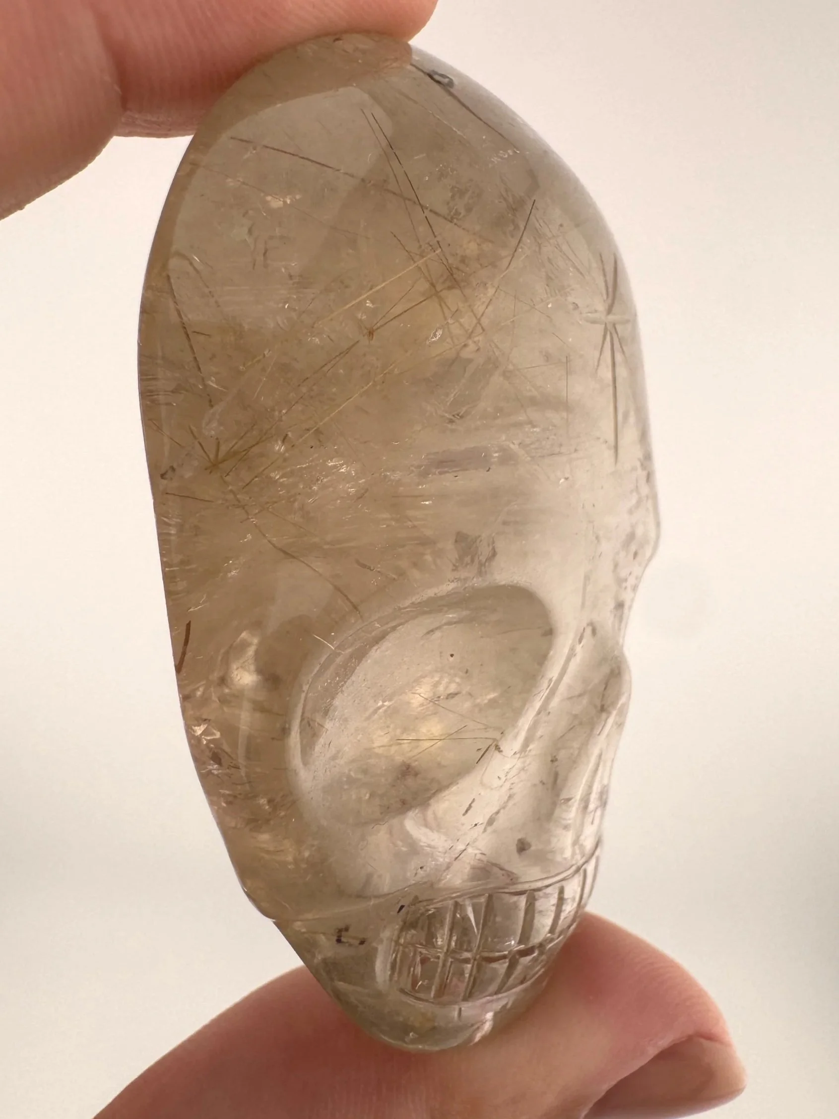 Leandro de Souza Golden Rutile in Quartz Magical Child Palm Skull