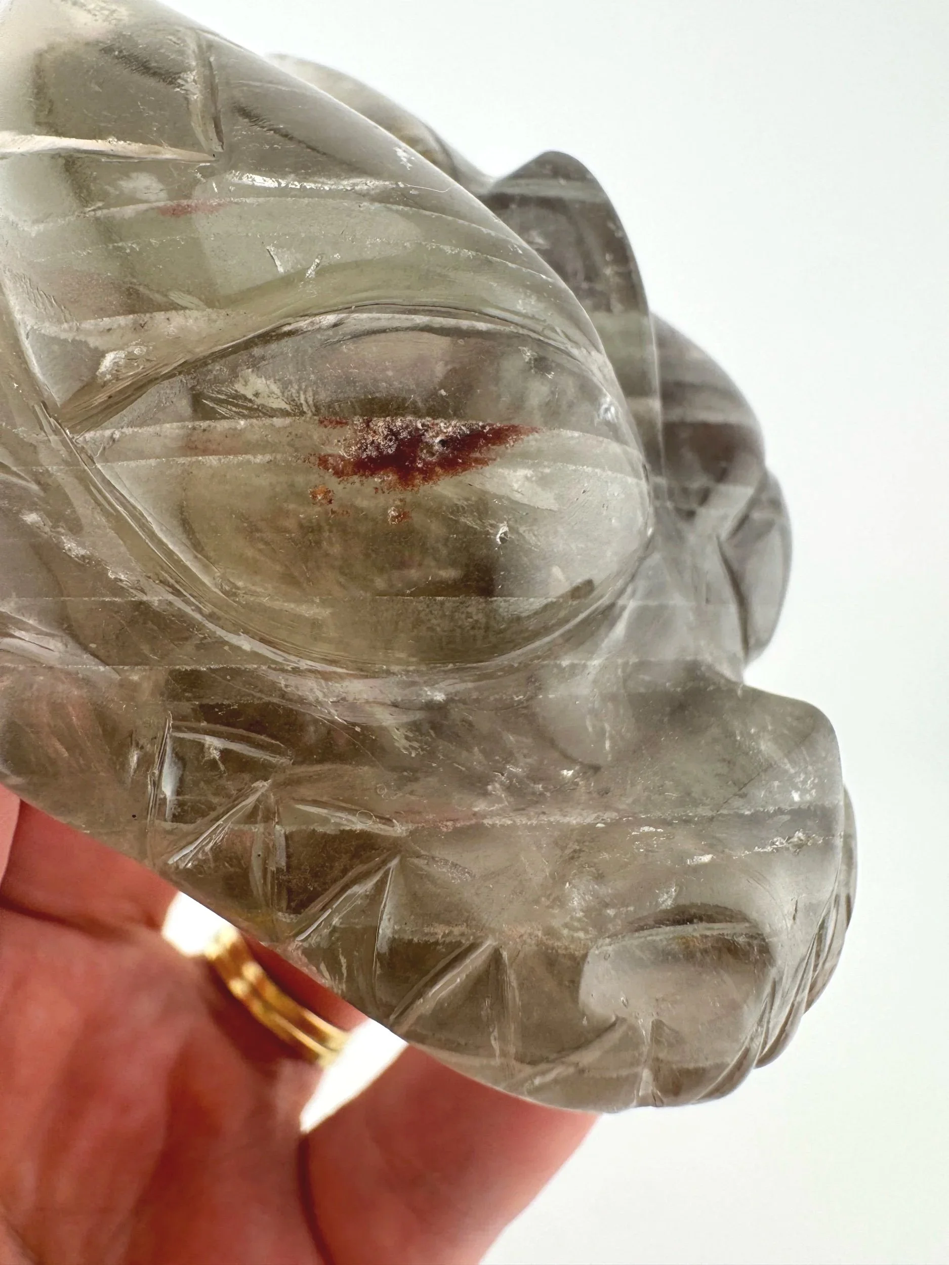 Leandro de Souza Chlorite Phantom Garden Quartz Dragon Skull