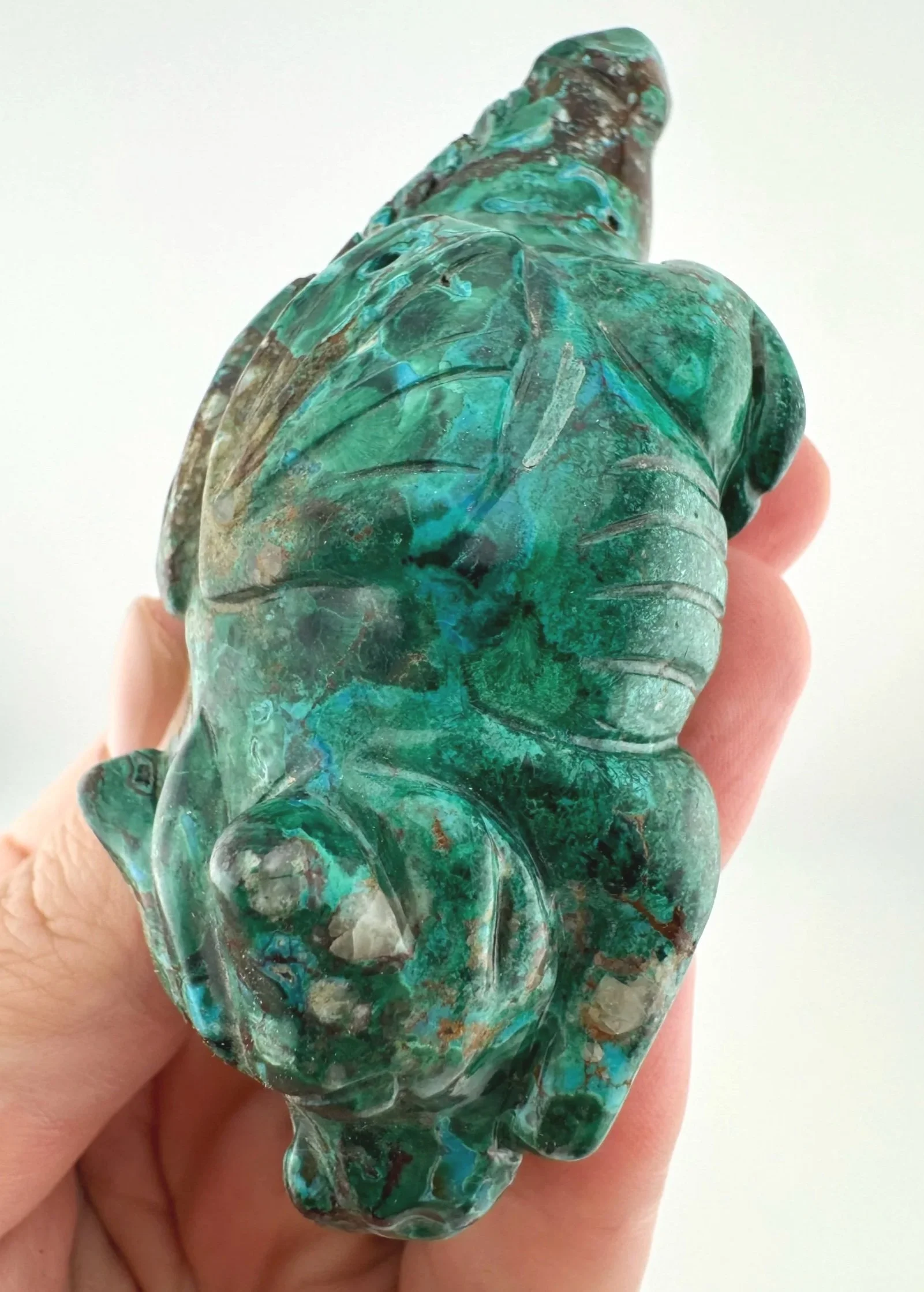 Leandro de Souza Malachite Chrysocolla Dodo Dragon