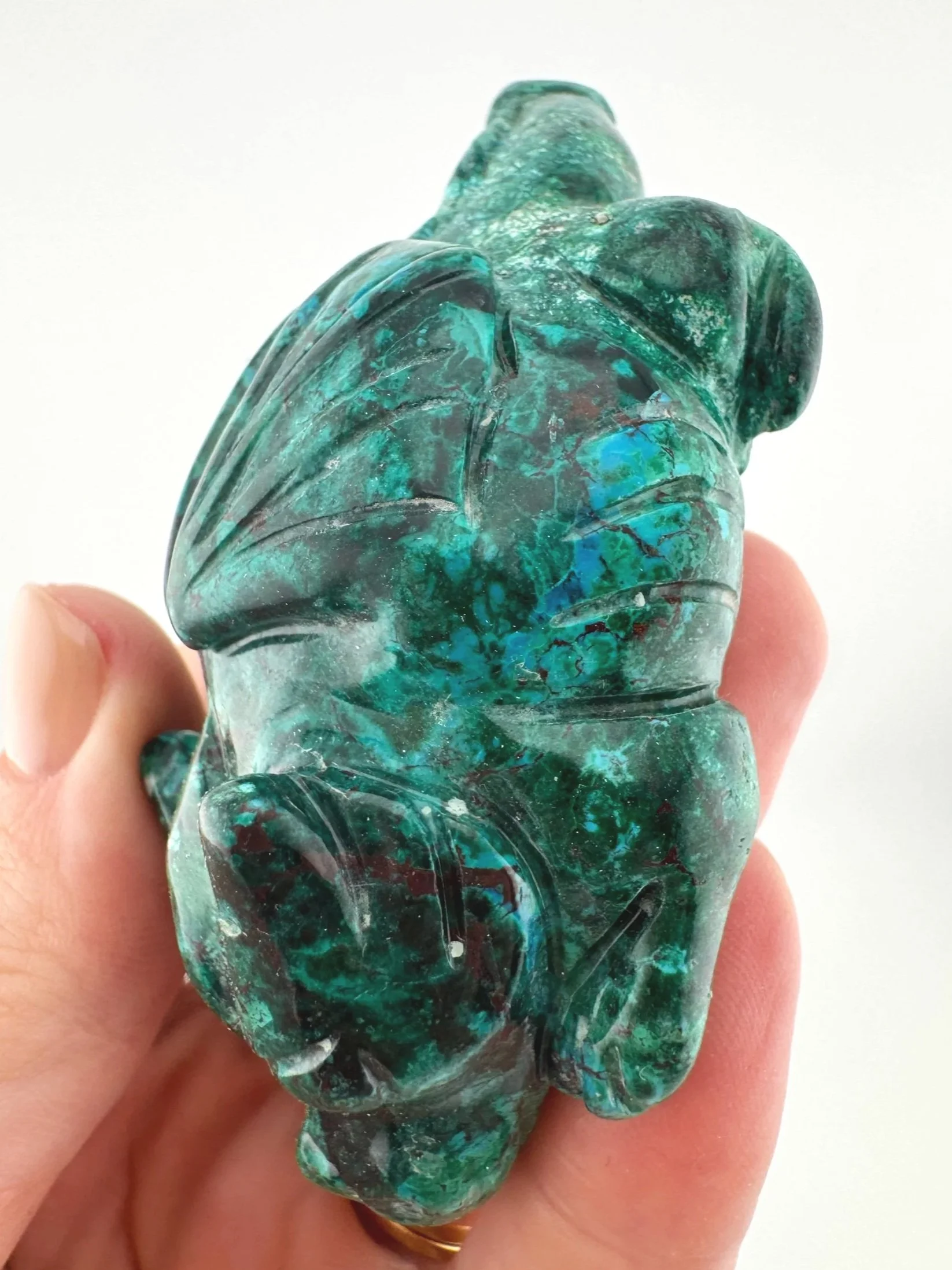 Leandro de Souza Malachite Chrysocolla Dodo Dragon