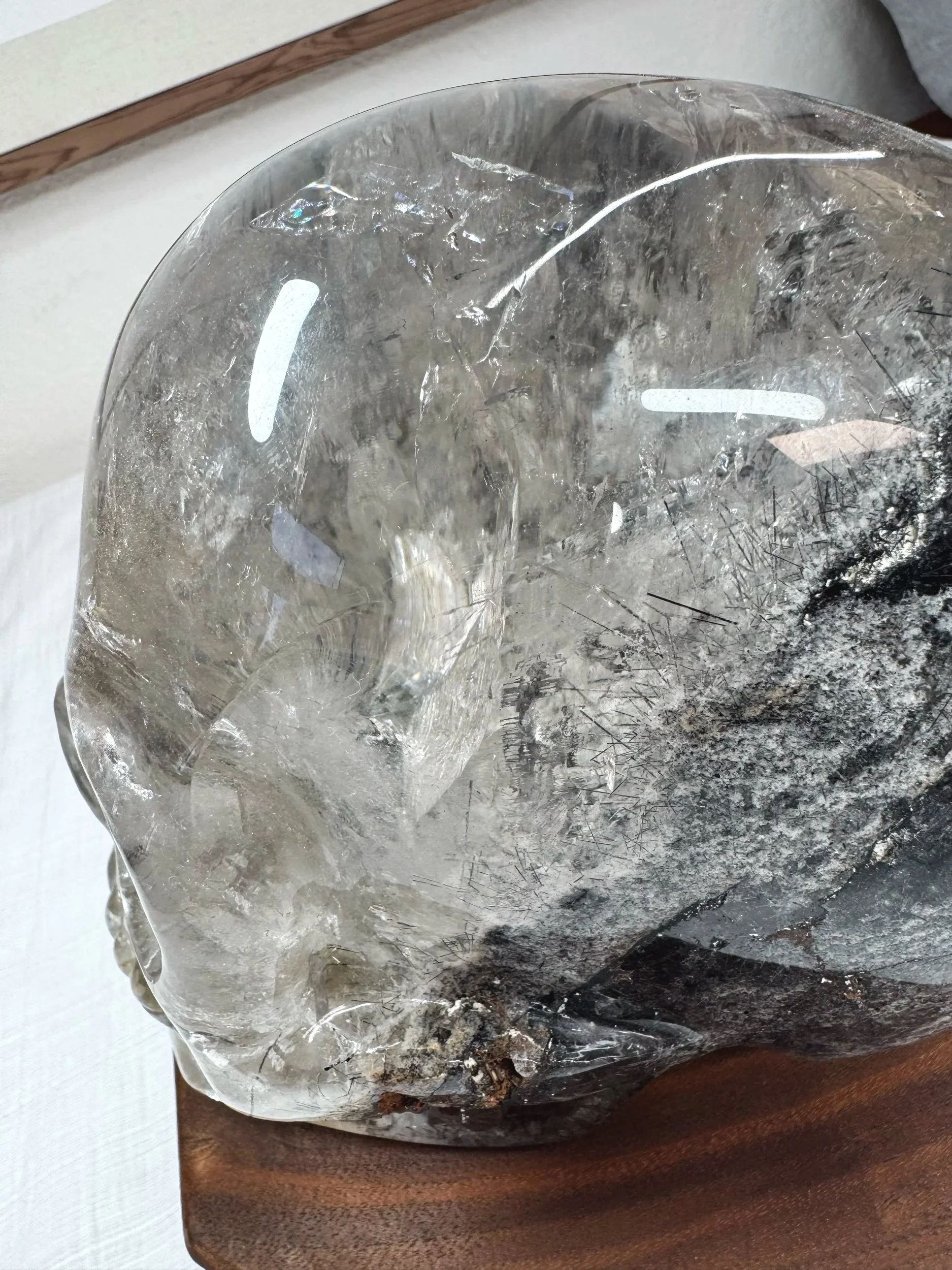 Leandro de Souza Black Tourmaline and Lodolite in Quartz Master Skull