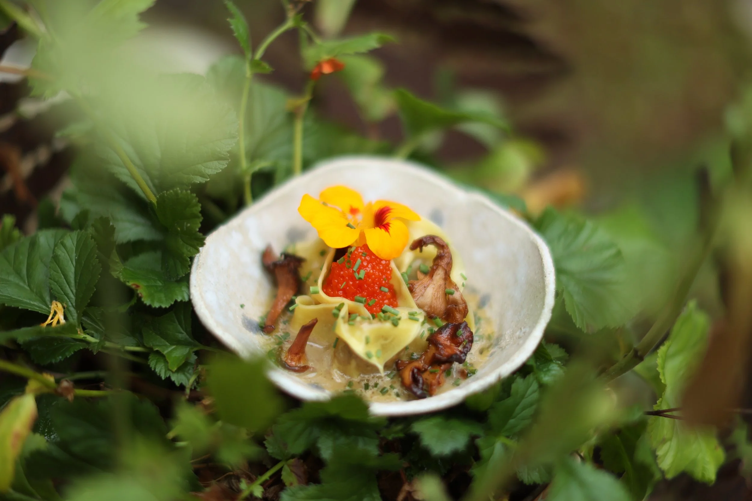 En liten, vit skål med pasta, topped med en gul blomma, röda och gröna strössel, och små bitar av svamp, omgiven av gröna blad och växter.