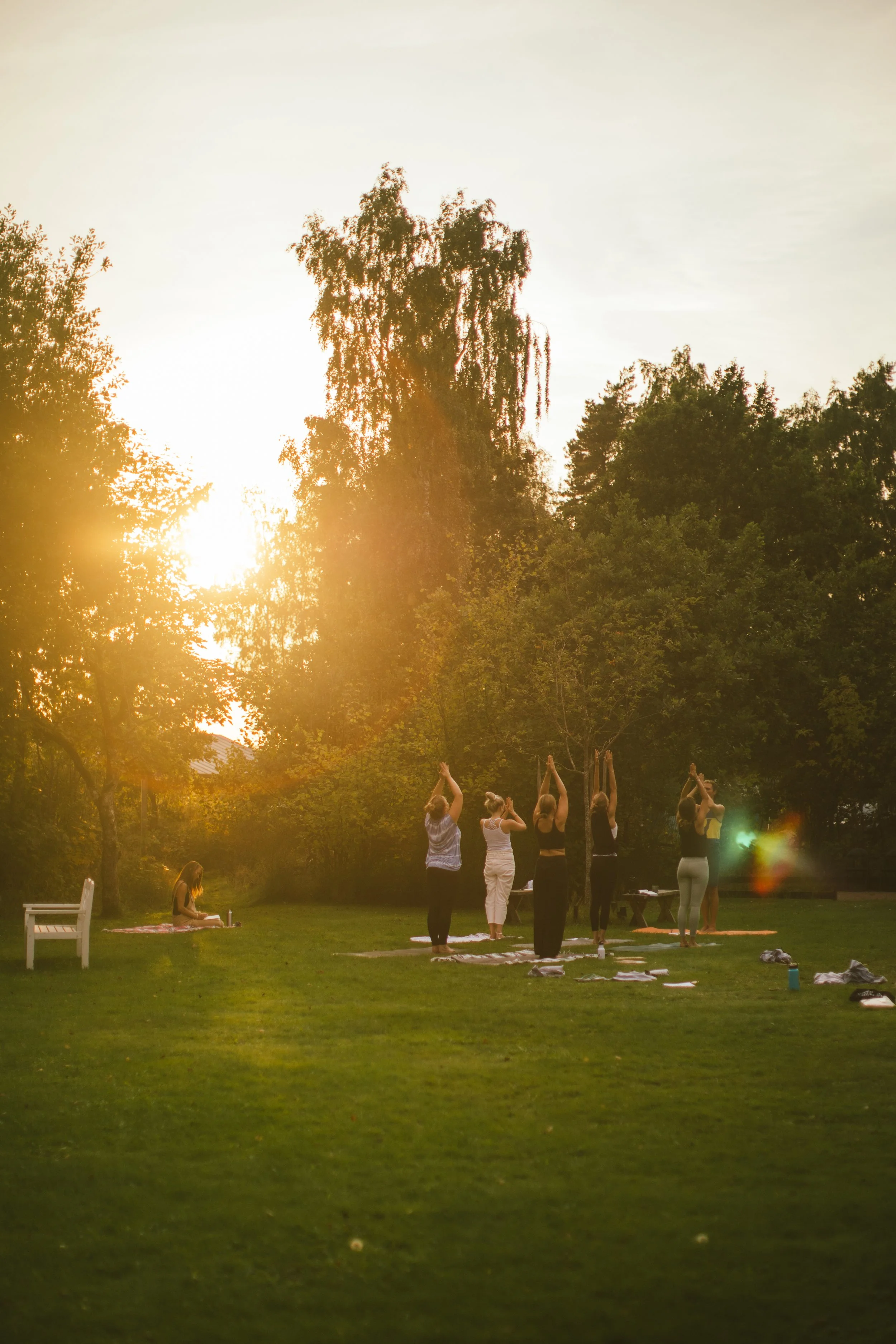 Flera personer som utövar yoga eller meditation i en trädgård vid solnedgången, omgivna av träd.