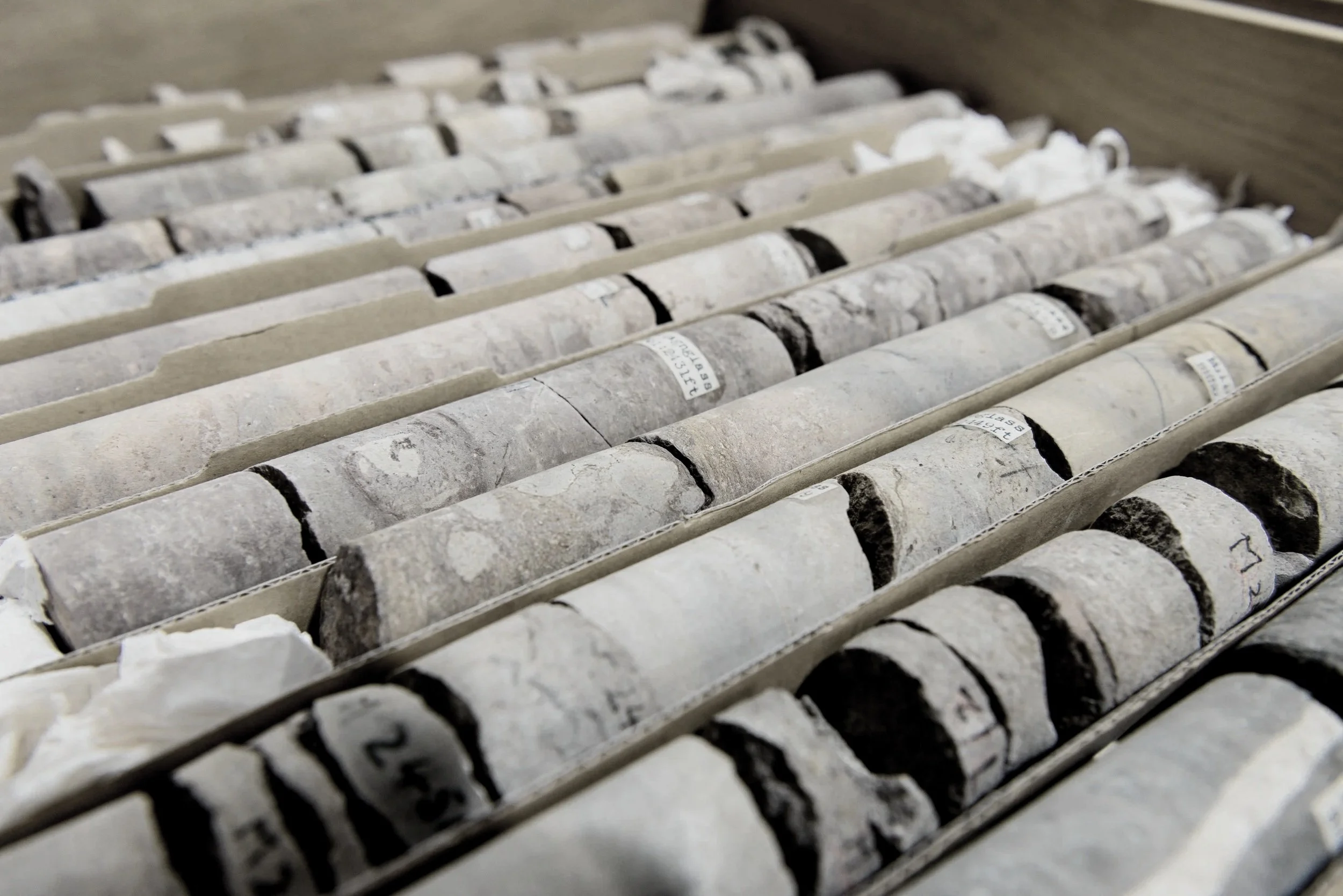 A row of small cylindrical geological core samples with labels, placed in a tray, used for scientific analysis.