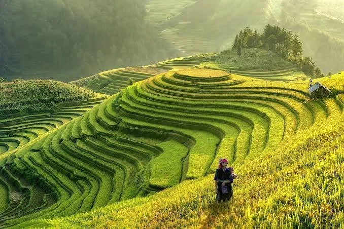 Guide Vietnam en Famille - L'ebook complet pour organiser un voyage inoubliable