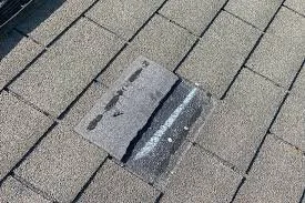 A rectangular hatch or opening in a paved brick sidewalk.