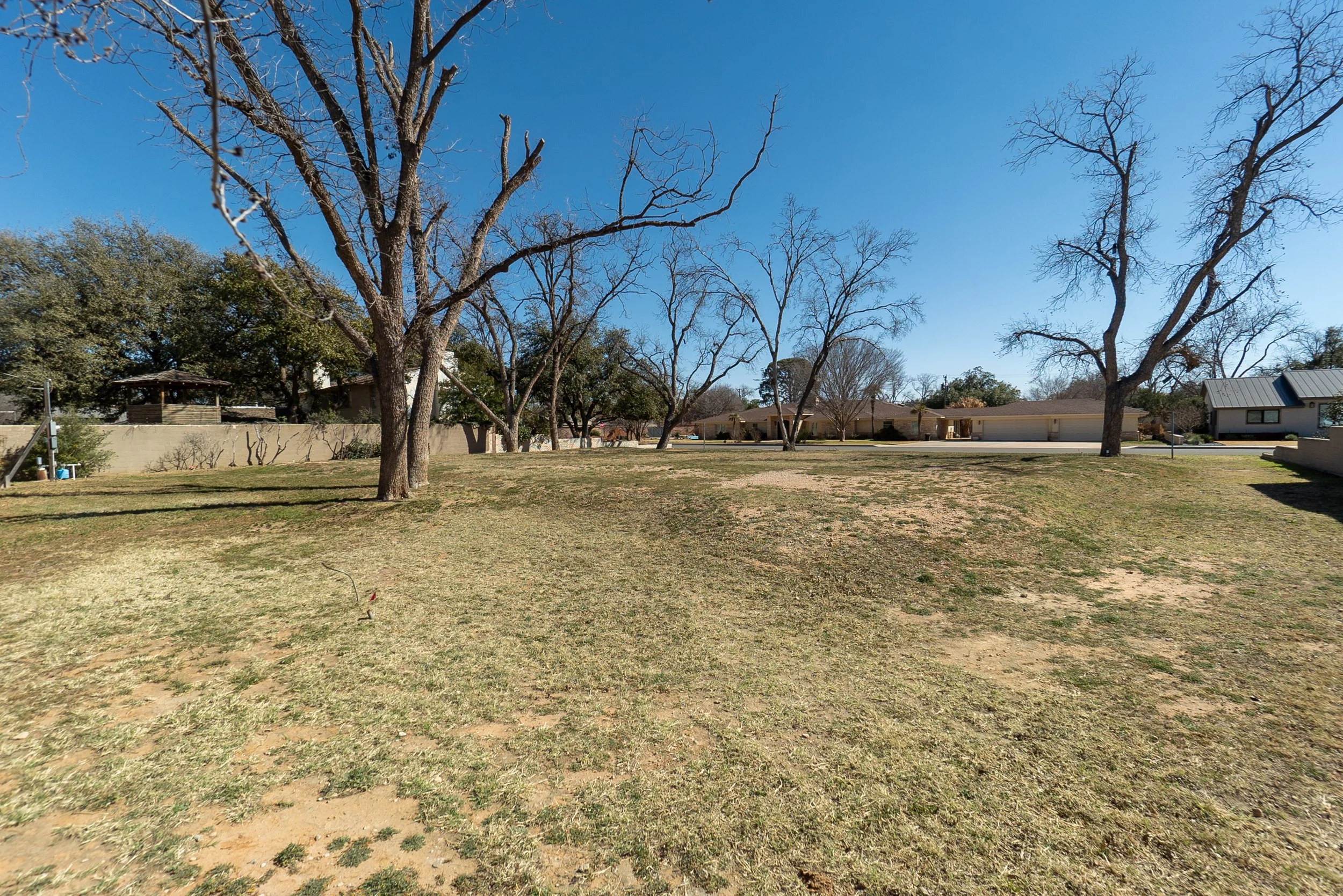 A park or backyard area with a grassy field, several large trees without leaves, and a residential neighborhood with houses and a courtyard in the background. The sky is clear and blue.