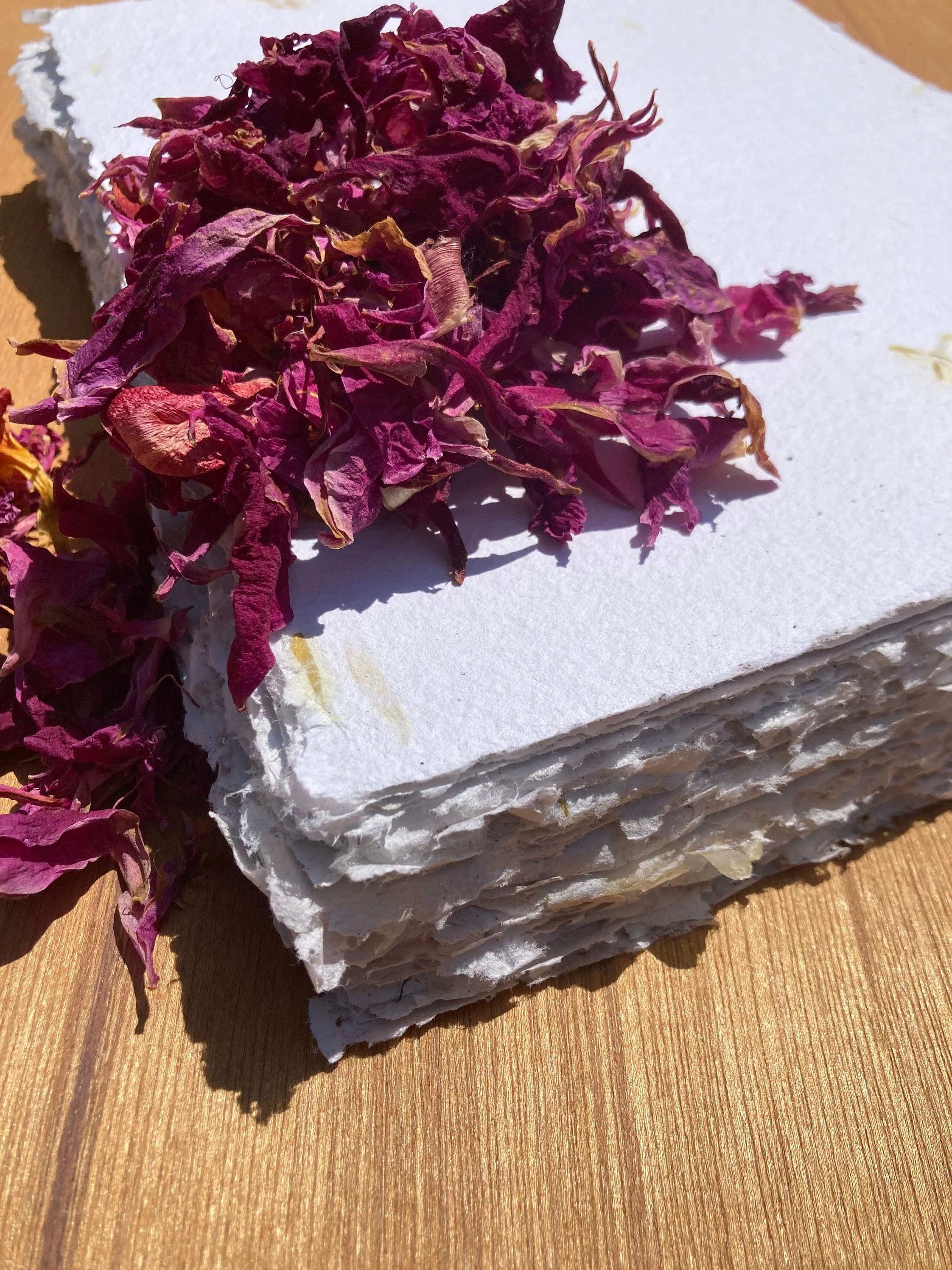 https://i.etsystatic.com/5321214/r/il/51fa13/4058436733/il_fullxfull.4058436733_fxhy.jpg