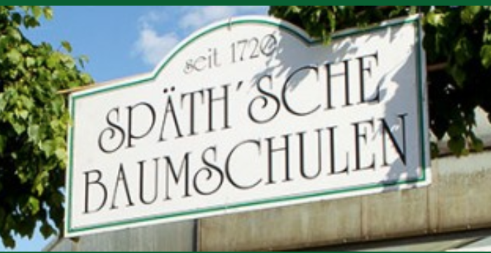 Kilned @ Weihnachtsmarkt Späth’sche Baumschulen