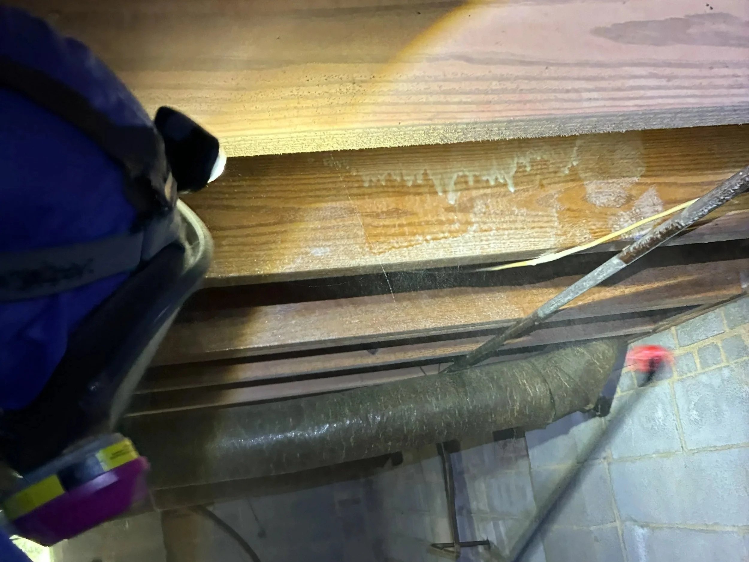 Technician applying mold-cleaning treatment to crawl space joists and wood framing