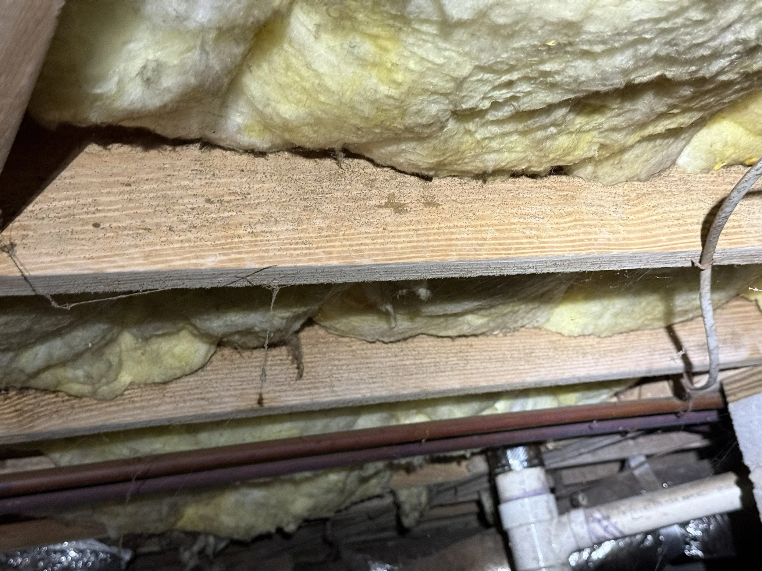 Heavy visible mold and fungal growth on crawl space floor joists and wood framing caused by excess moisture and high humidity beneath the home