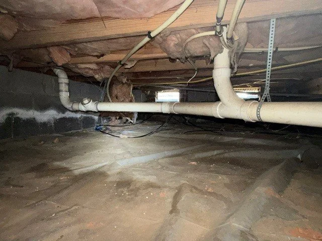 Signs of water intrusion along the crawl space foundation wall, with mold and fungal growth on the wood framing and fallen insulation overhead.