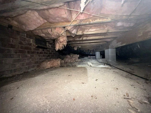 Visible mold growth on crawl space floor joists above fallen insulation, exposed soil and a deteriorated ground vapor barrier in a Charlotte home.
