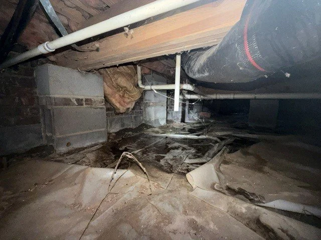 Condensation pooling on a deteriorated crawl space vapor barrier beneath HVAC ductwork, with visible mold growth, fallen insulation and debris.
