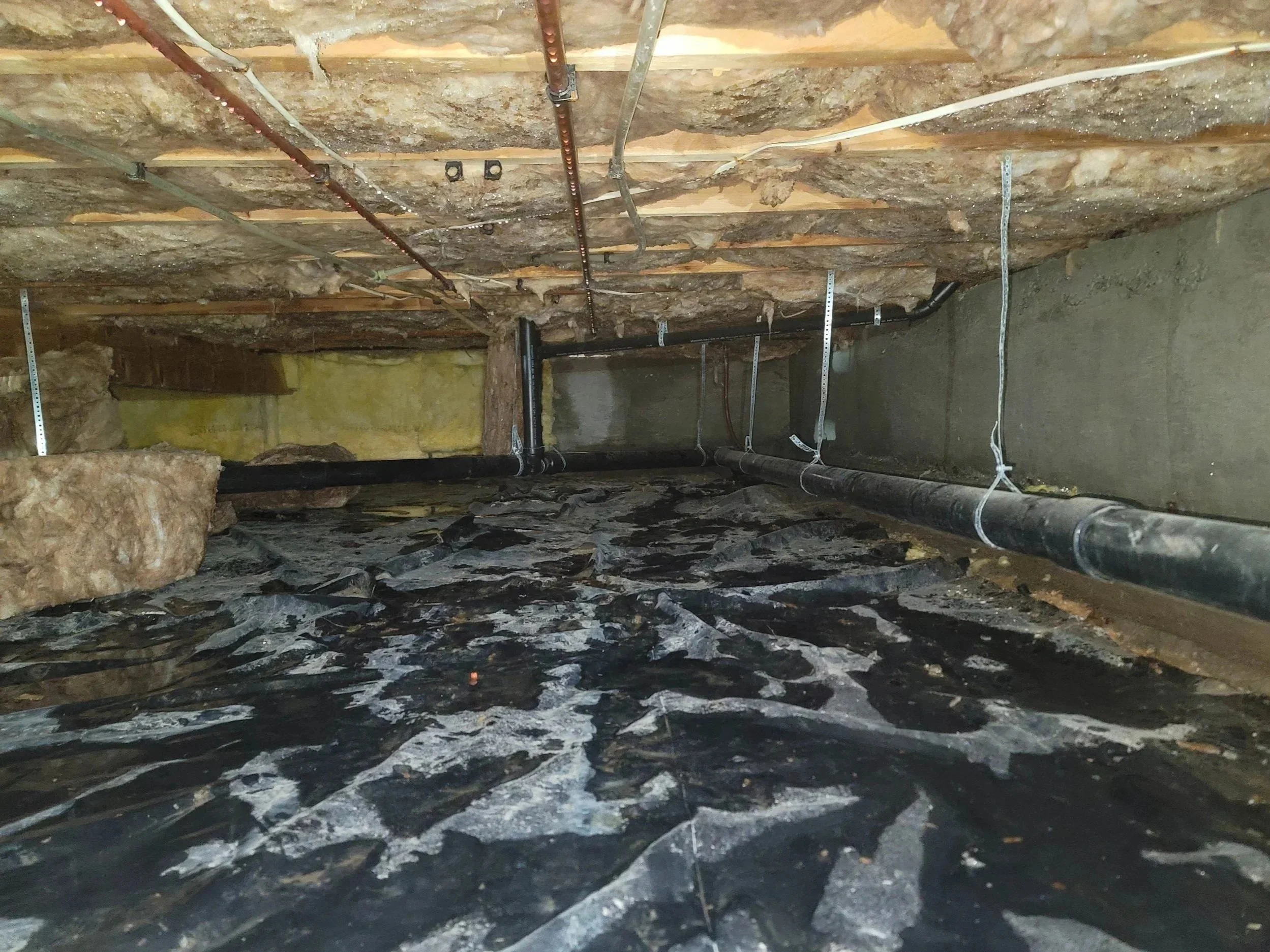 Wet crawl space with damaged vapor barrier, falling insulation, moisture buildup, and conditions that can lead to mold, allergies, and long-term wood damage.