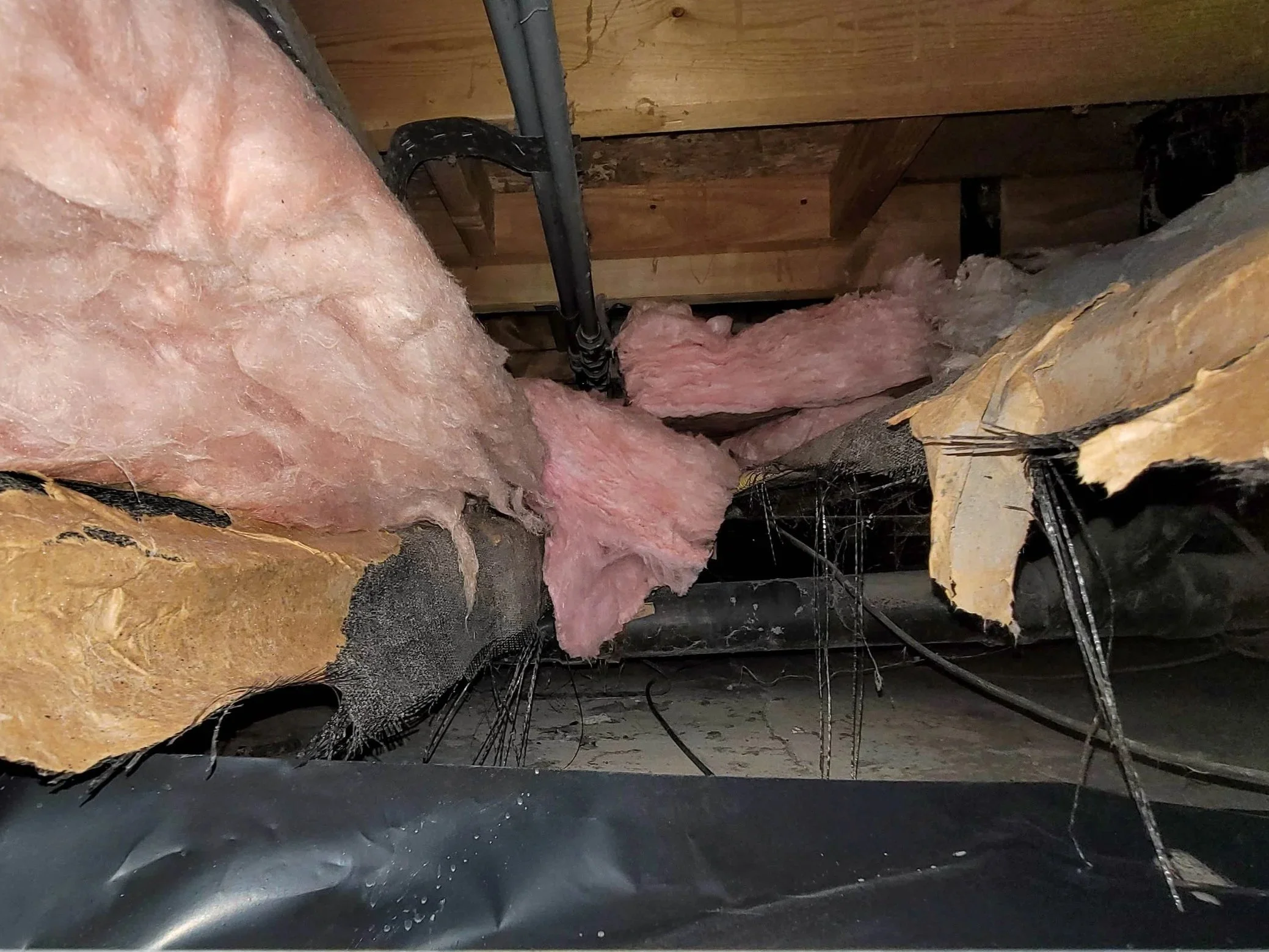 Crawl space with falling insulation, damaged materials, and debris that need to be removed during a crawl space cleanout.