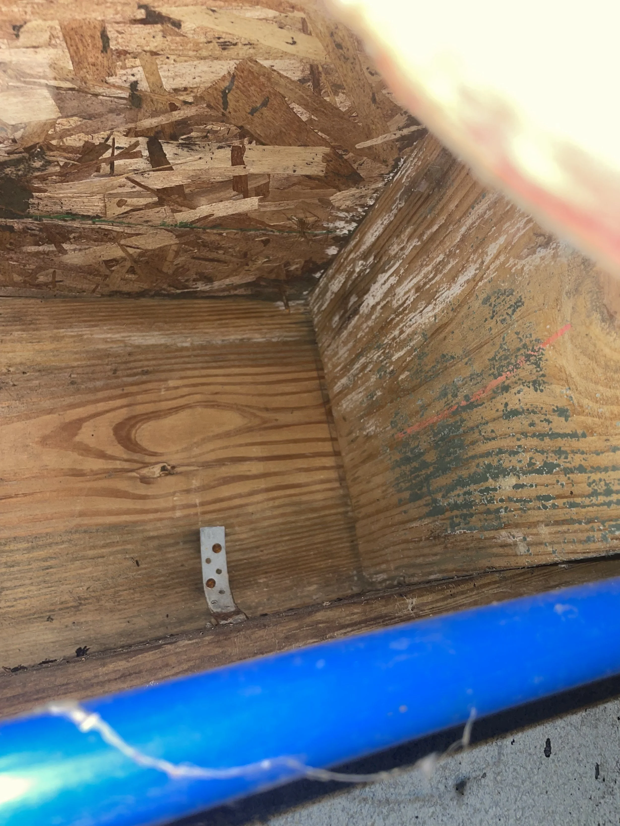 Mold and fungal growth on crawl space wood framing and subflooring