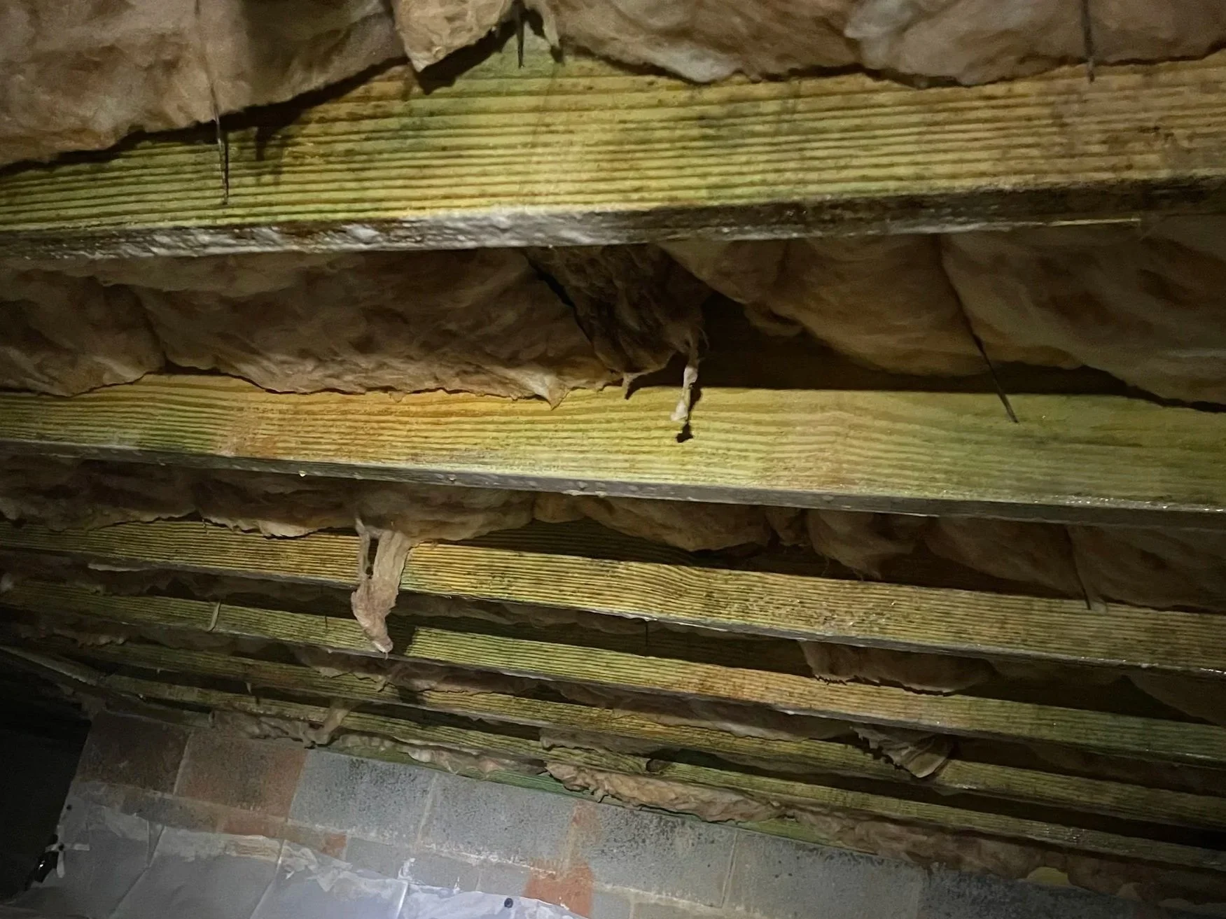 Troutman crawl space with mold and fungal growth on wood framing beneath wet, deteriorated insulation