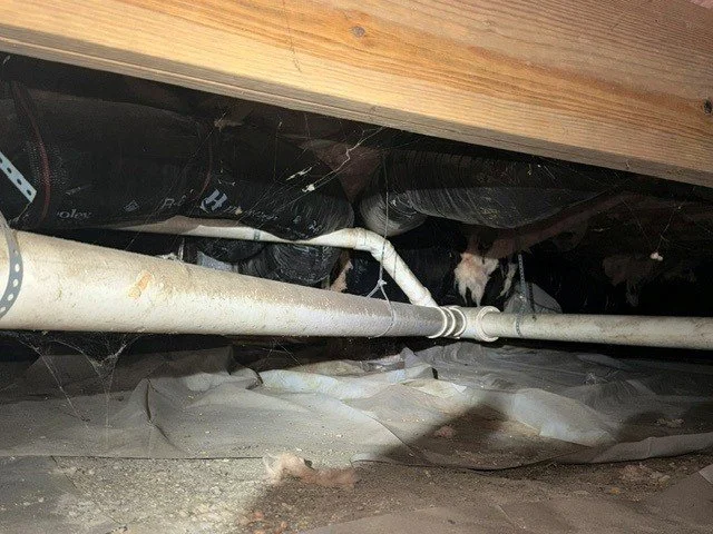 Fallen crawl space insulation above exposed soil where the deteriorated vapor barrier no longer provides complete ground coverage.