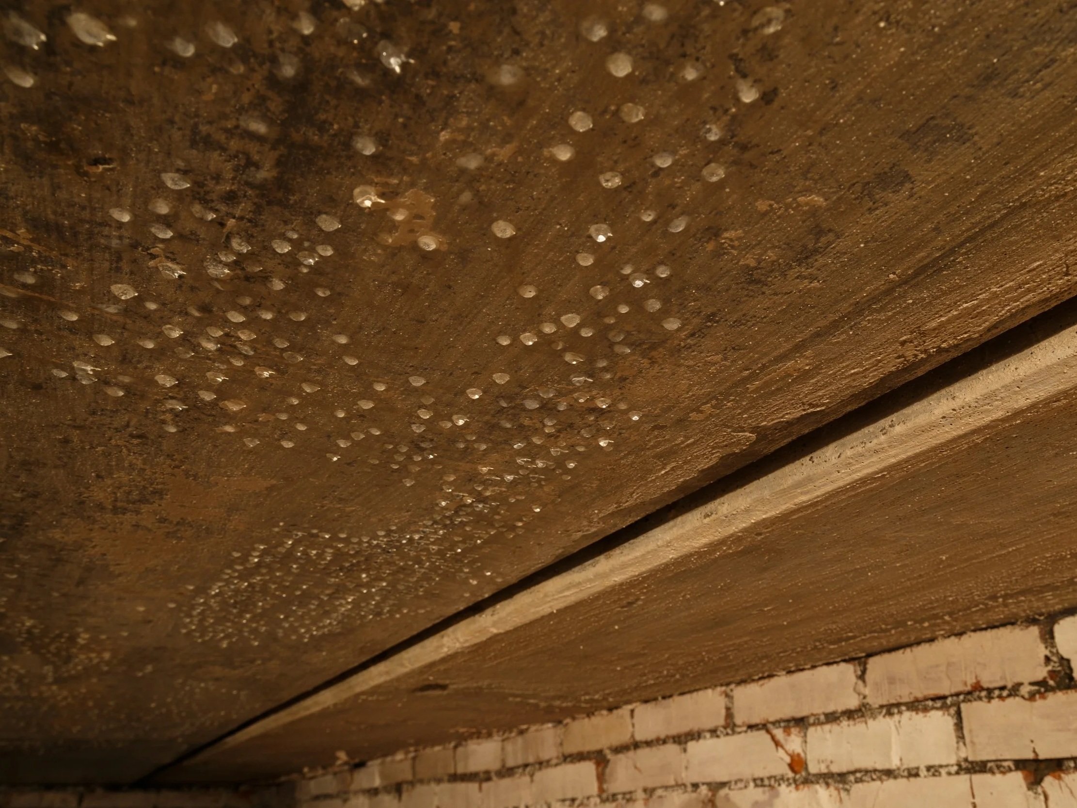 Condensation droplets on crawl space wood framing caused by high humidity, creating conditions for mold, fungal growth and wood damage.
