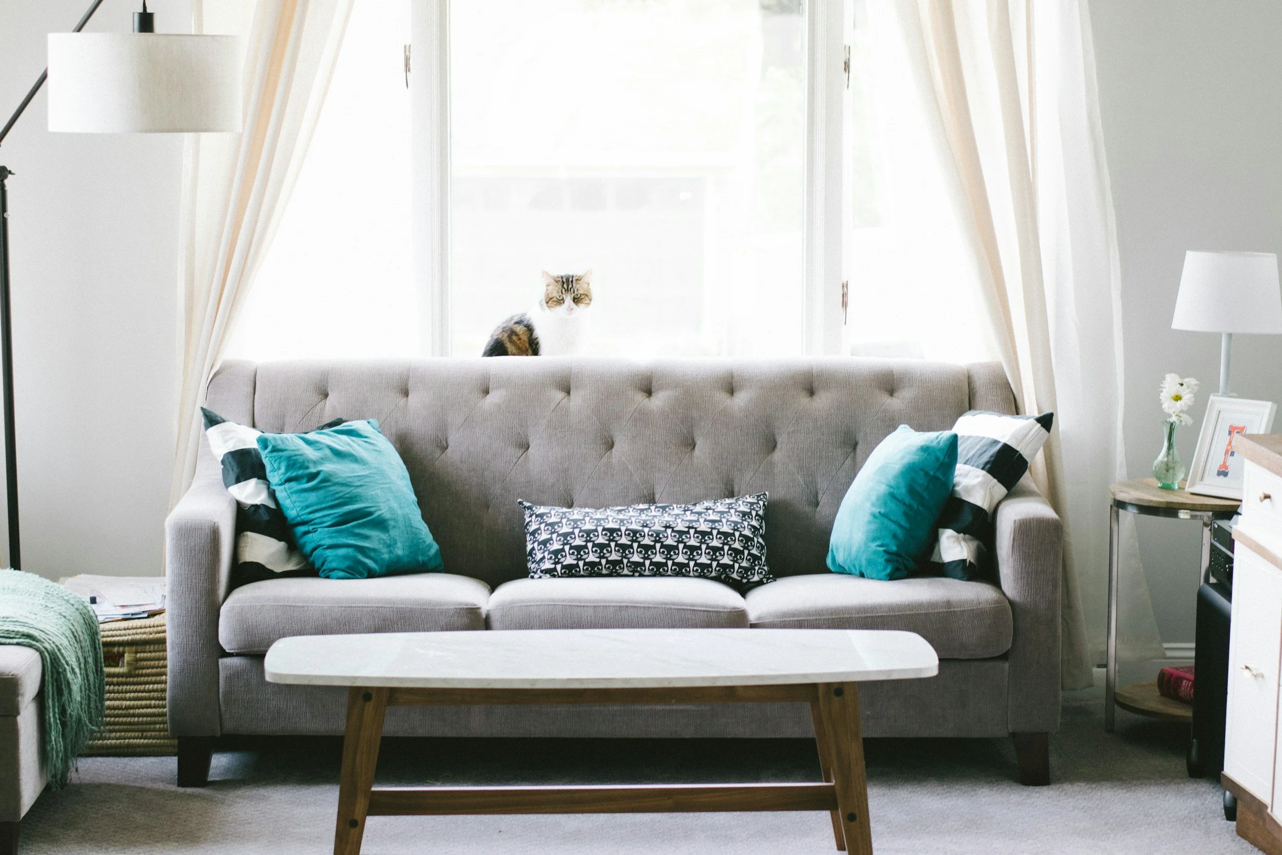A living room with a gray tufted sofa, colorful pillows, and a wooden coffee table, with a cat sitting on the window ledge behind the sofa, and a bright window with curtains.