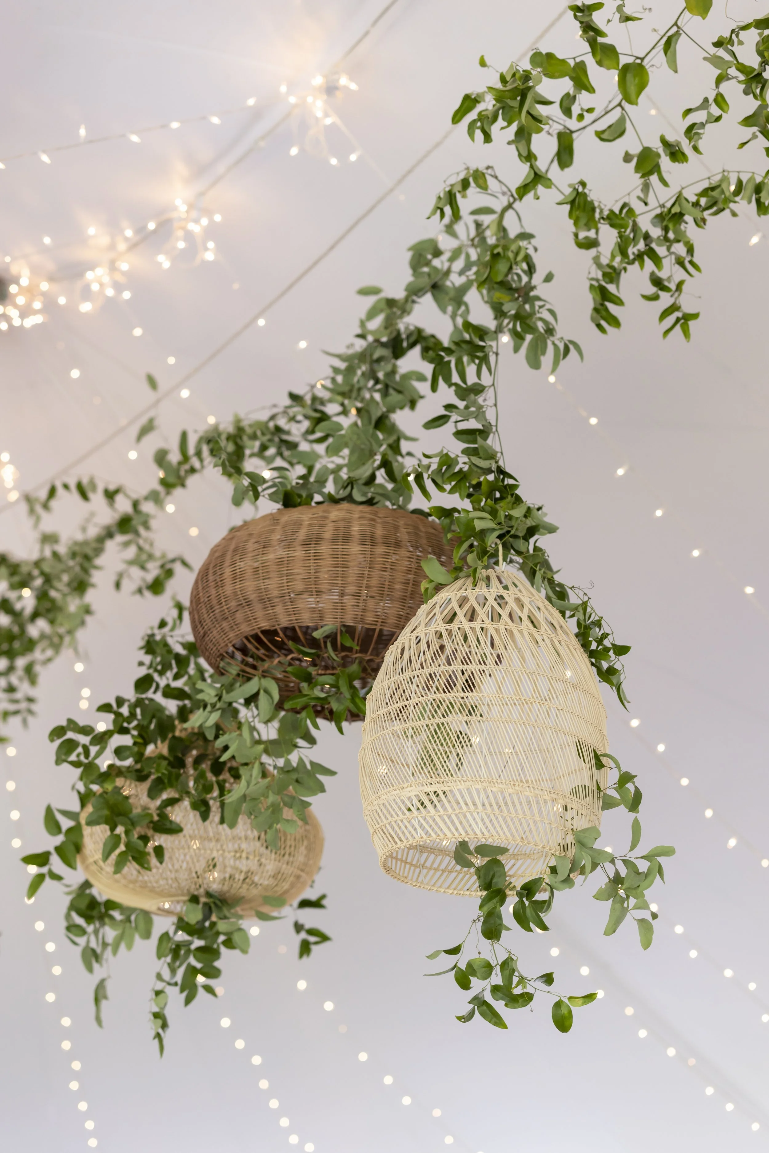 Hanging woven baskets, green foliage, and string lights on ceiling.