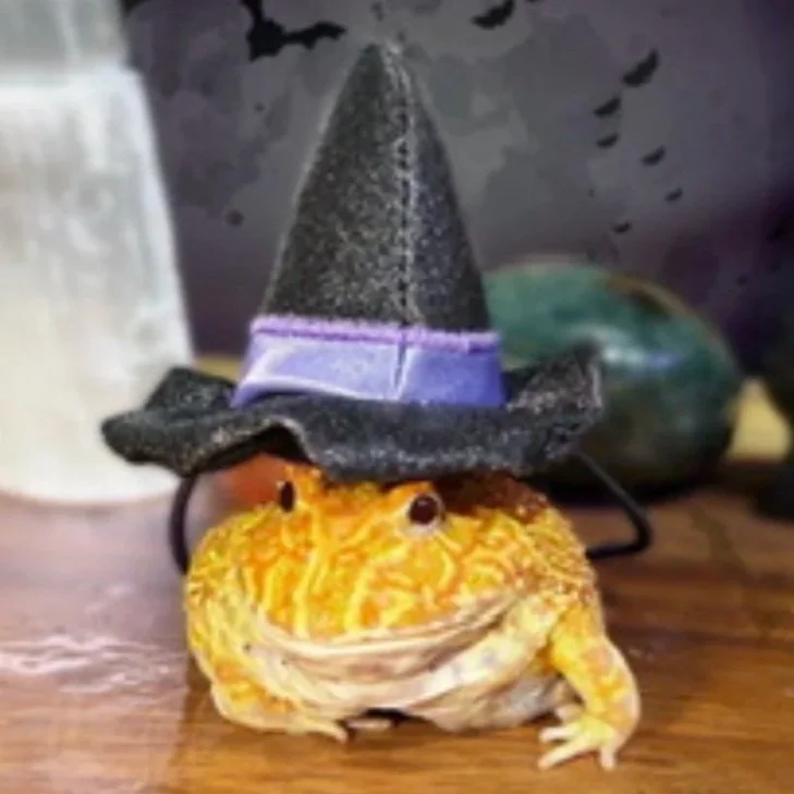 A yellow frog wearing a witch's hat, sitting on a wooden surface.