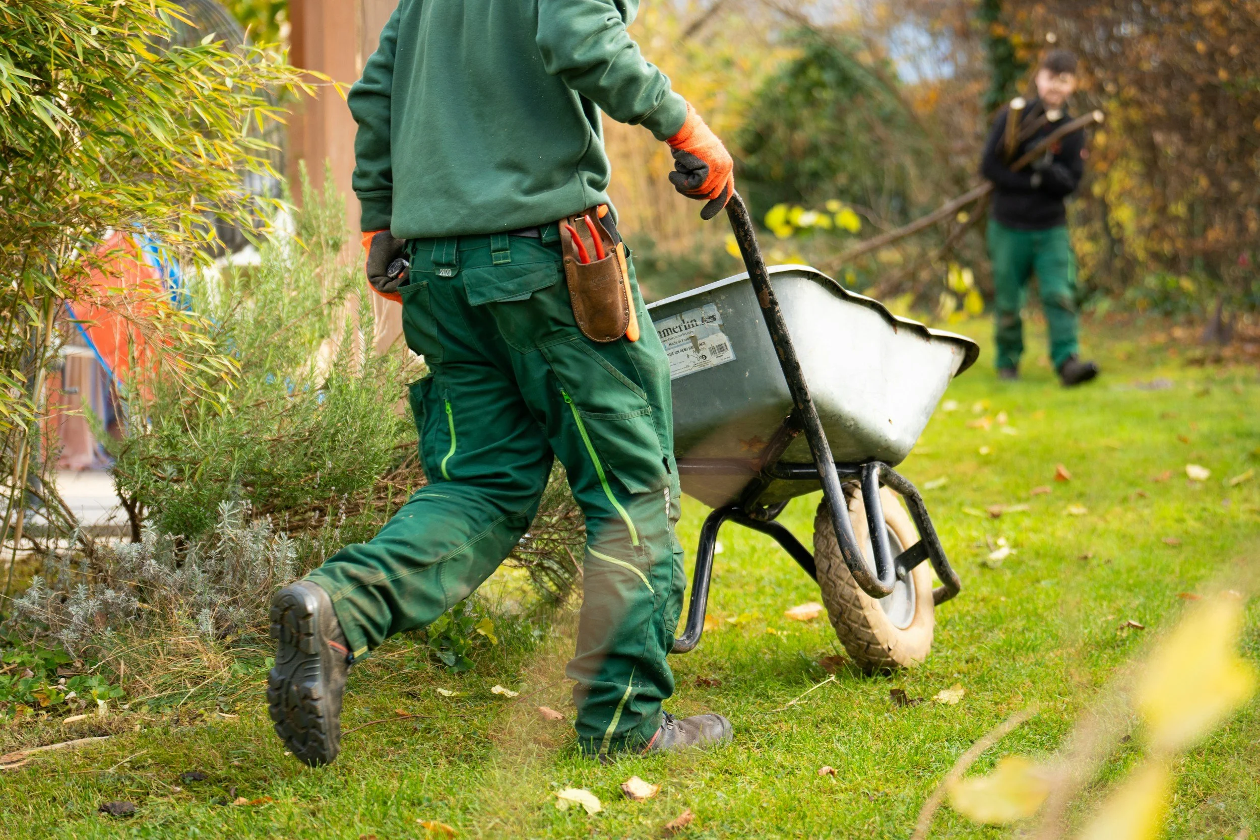 Person in green pants and green jacket pushing a wheelbarrow across a grassy yard, with another person holding branches in the background, during fall.