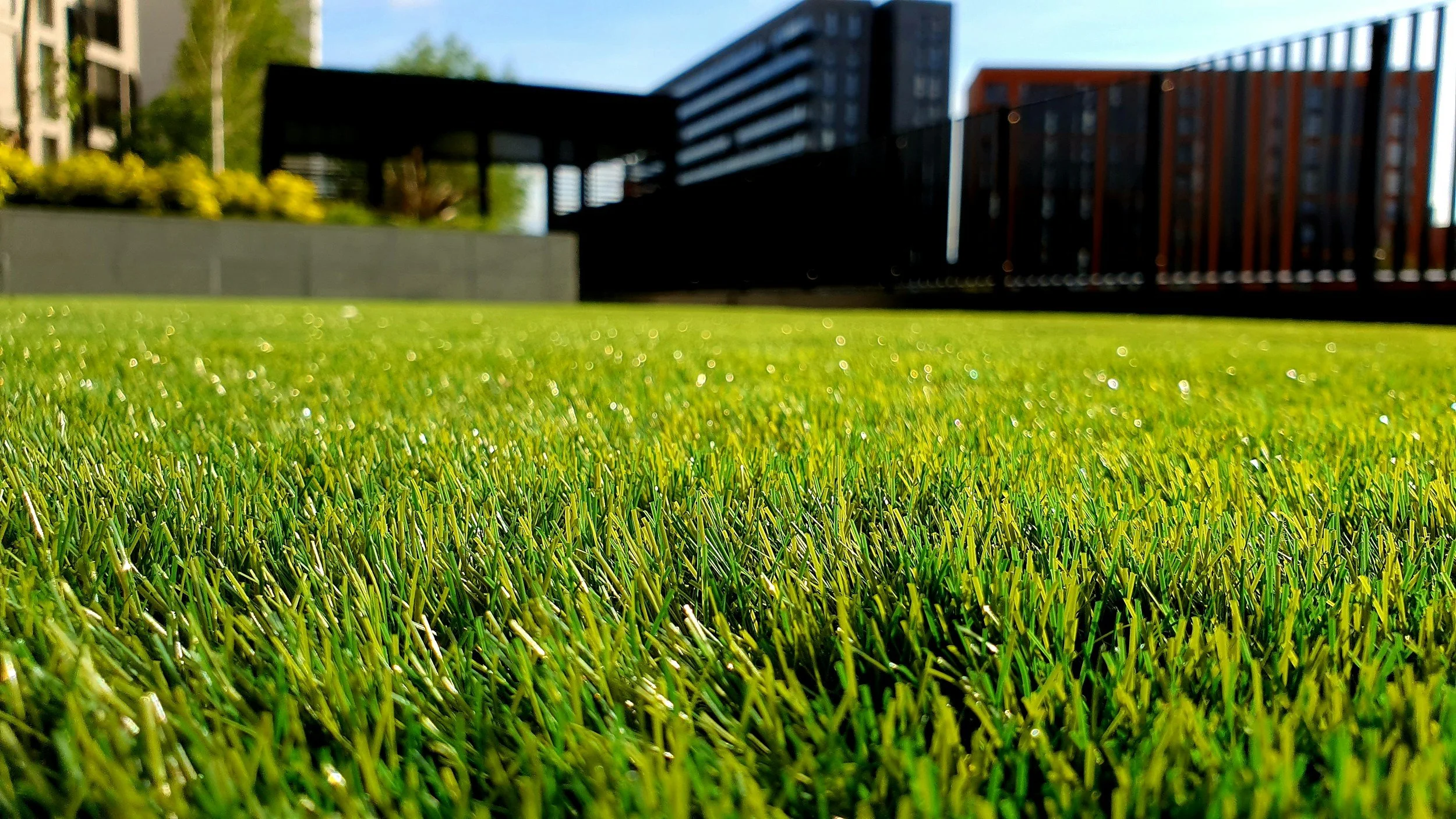 Close-up view of green artificial grass with modern buildings and a fence in the background.