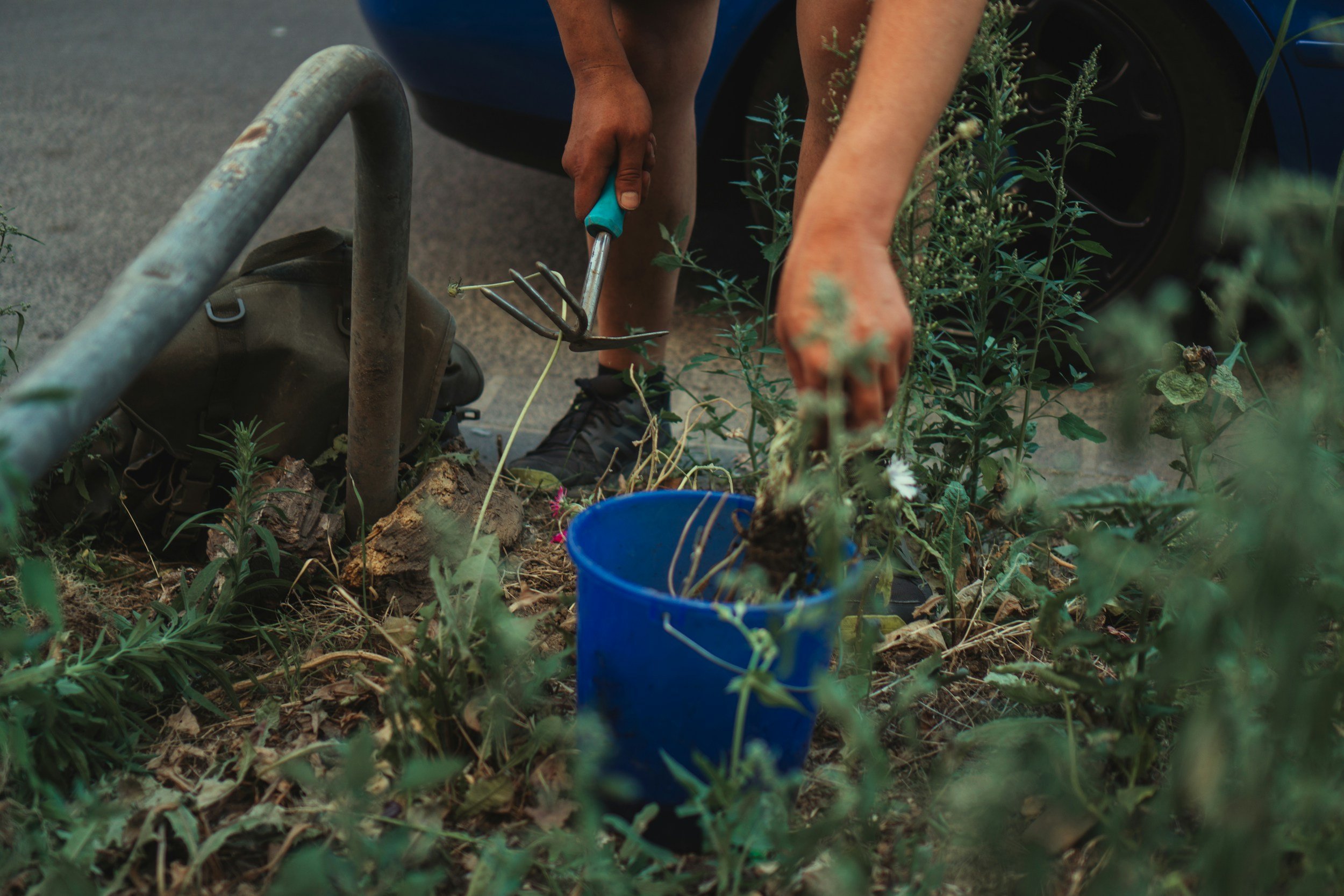 Person gardening, wearing black shoes, using a gardening fork near a blue bucket, with plants and a wheelbarrow in the background.