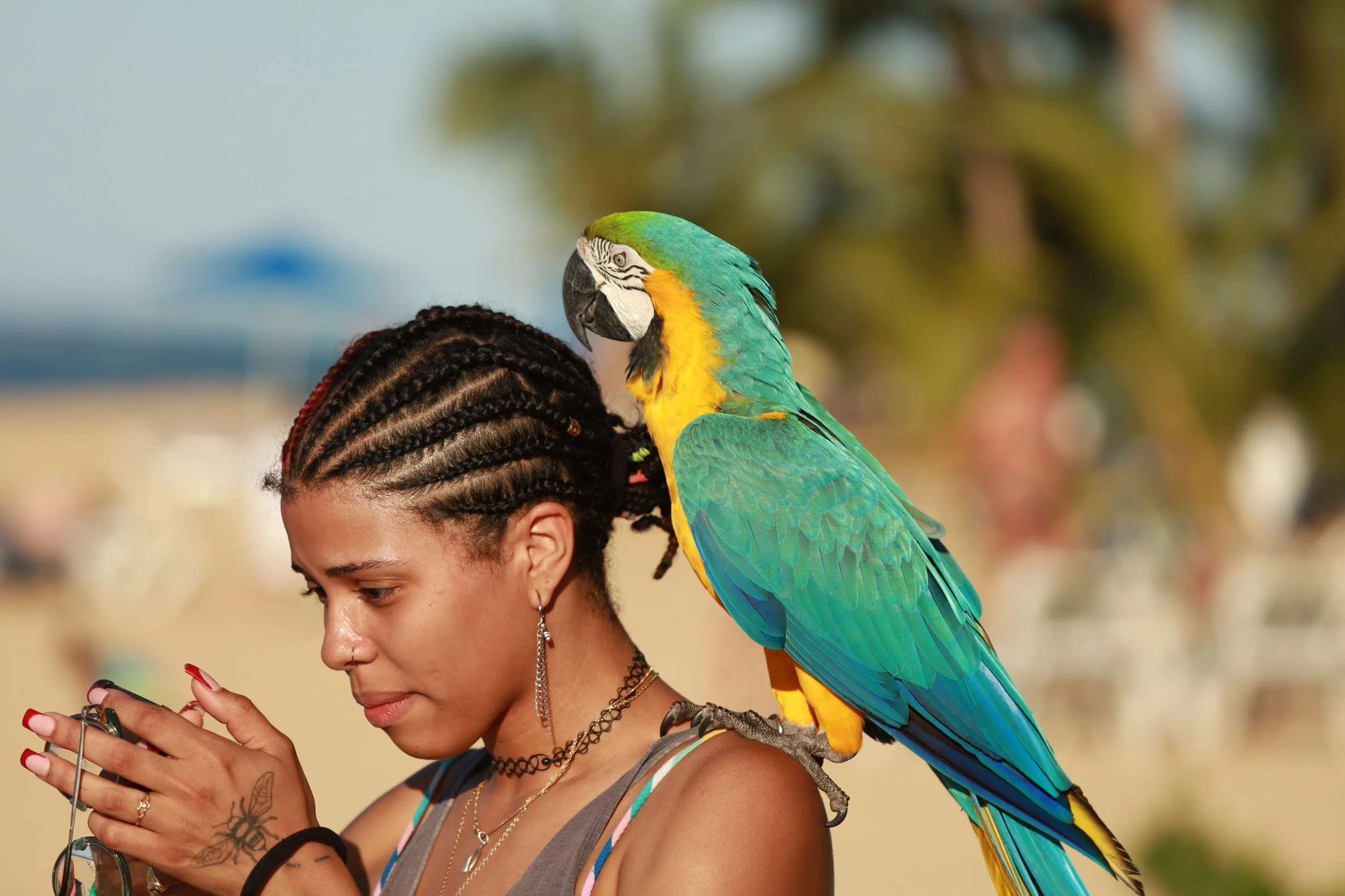 A young woman with braided hair and tattoos on her arm holding a smartphone, with a colorful parrot perched on her shoulder, outdoors on a sunny day.