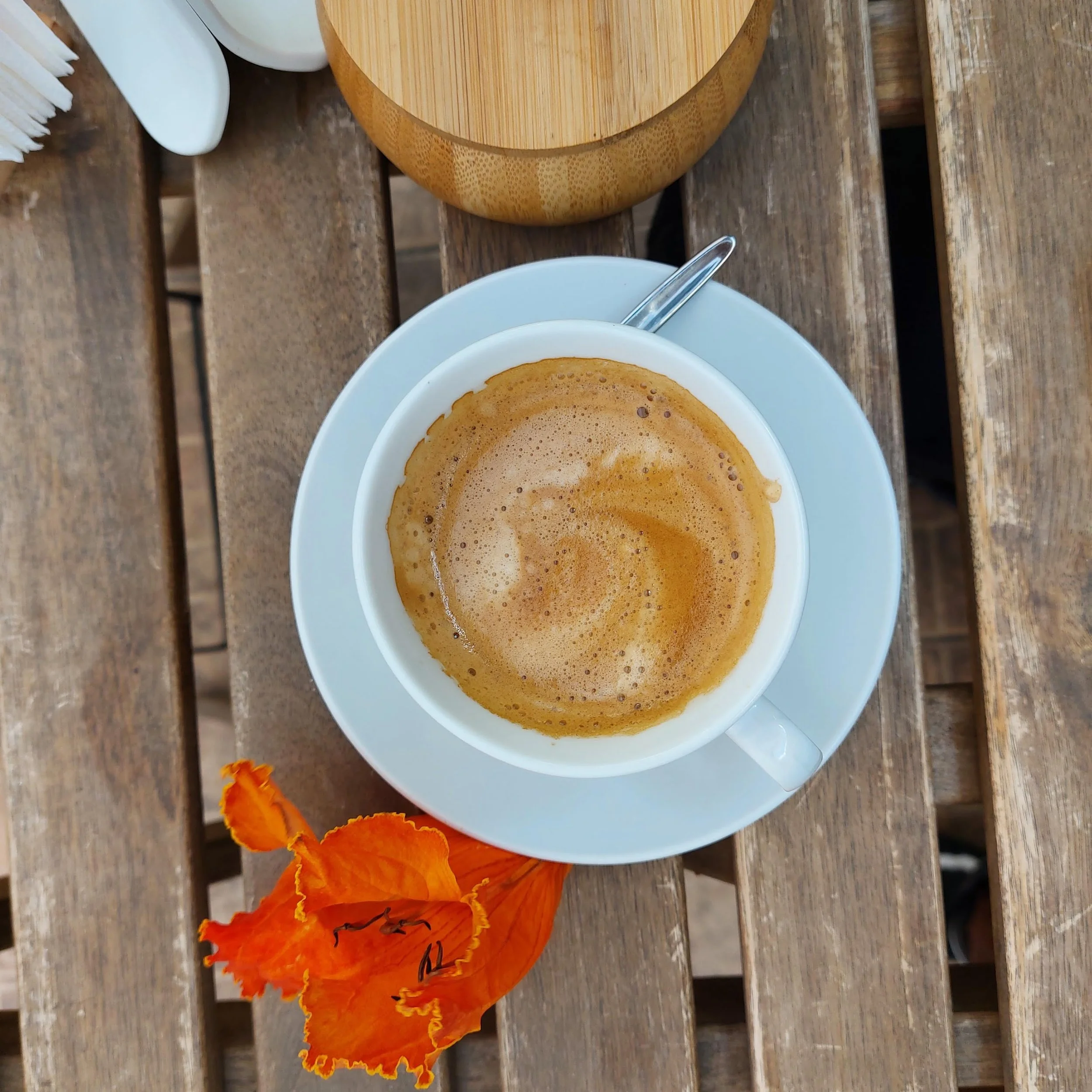 A cup of coffee with frothy top on a white saucer, placed on a wooden table, with orange autumn leaves nearby.