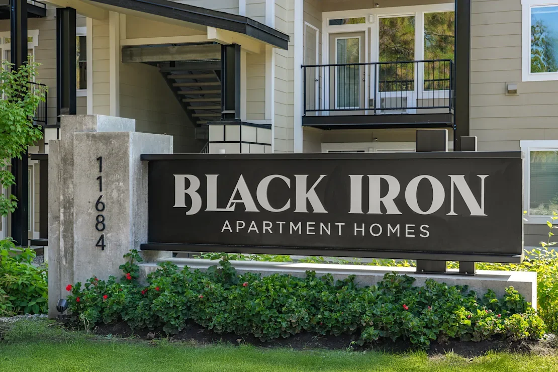 059-black iron-059.webp