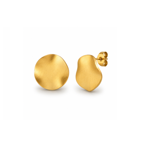Oval earrings