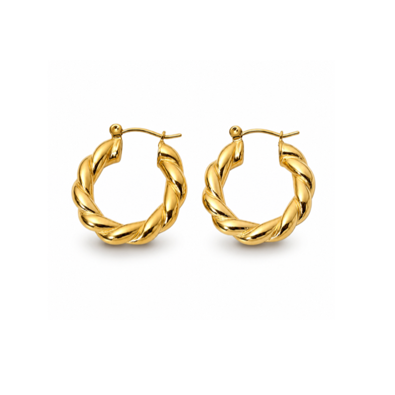 Elegant round earrings