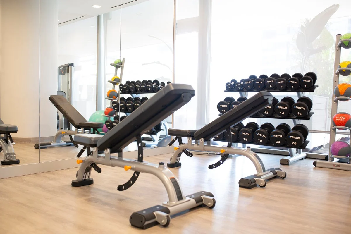 Empty gym with adjustable workout benches, dumbbell racks, and medicine balls near large windows.