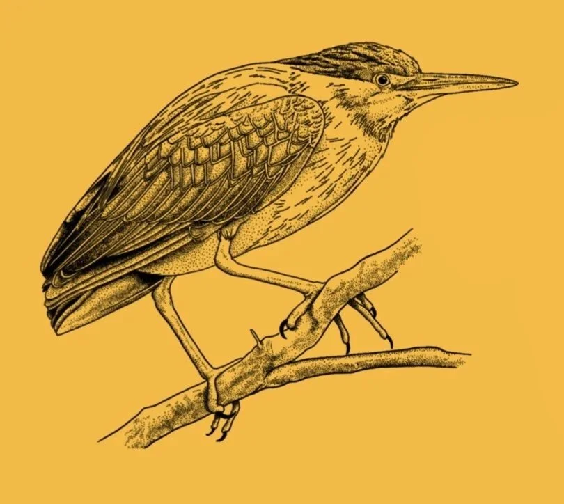 Green Heron Tattoo