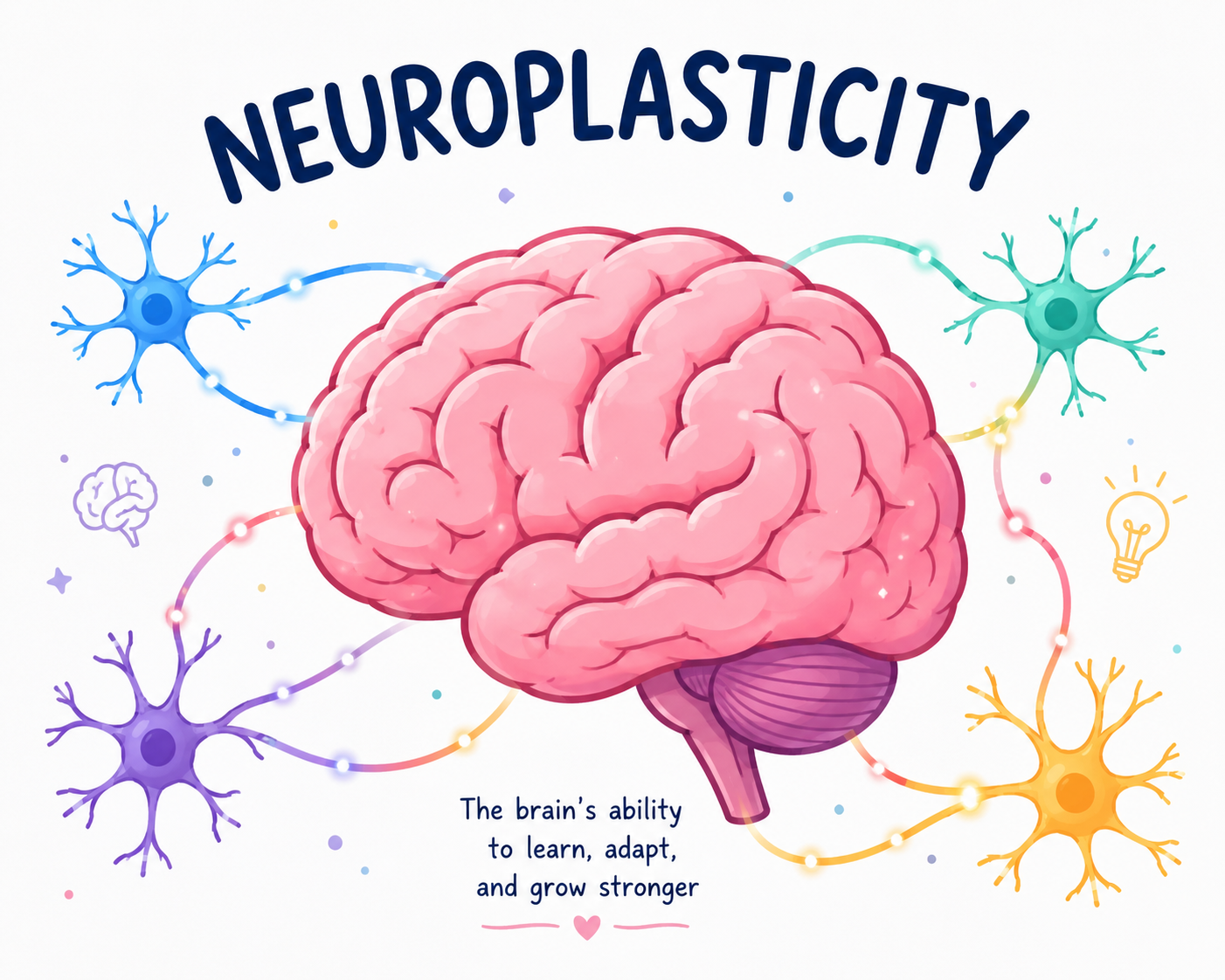 Why Therapy Works - Neuroplasticity
