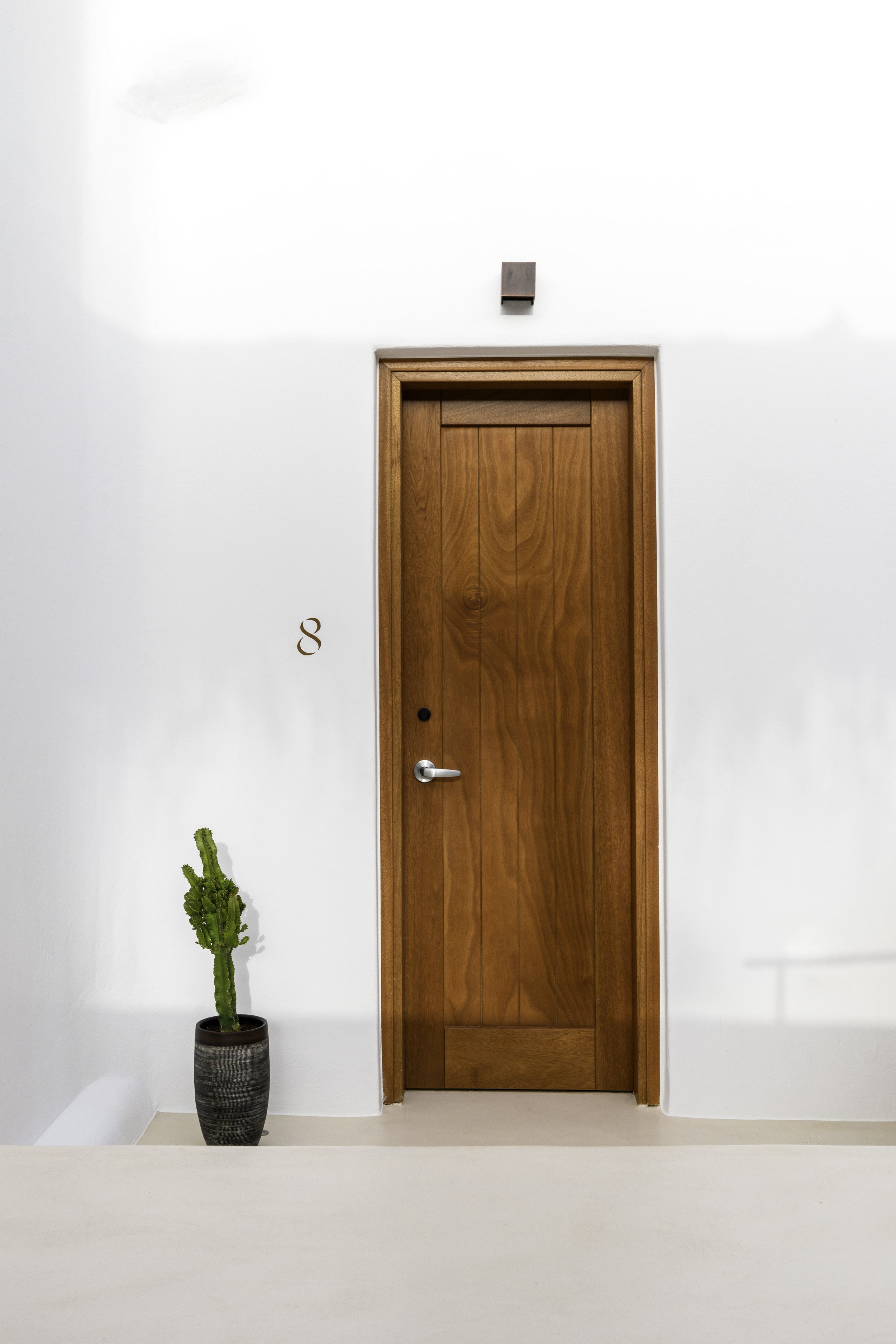 A wooden door on a white wall with a small black knob, a black and brown vase with a tall green cactus plant, a small wall-mounted black fixture above the door, and the number 8 on the wall to the left of the door.