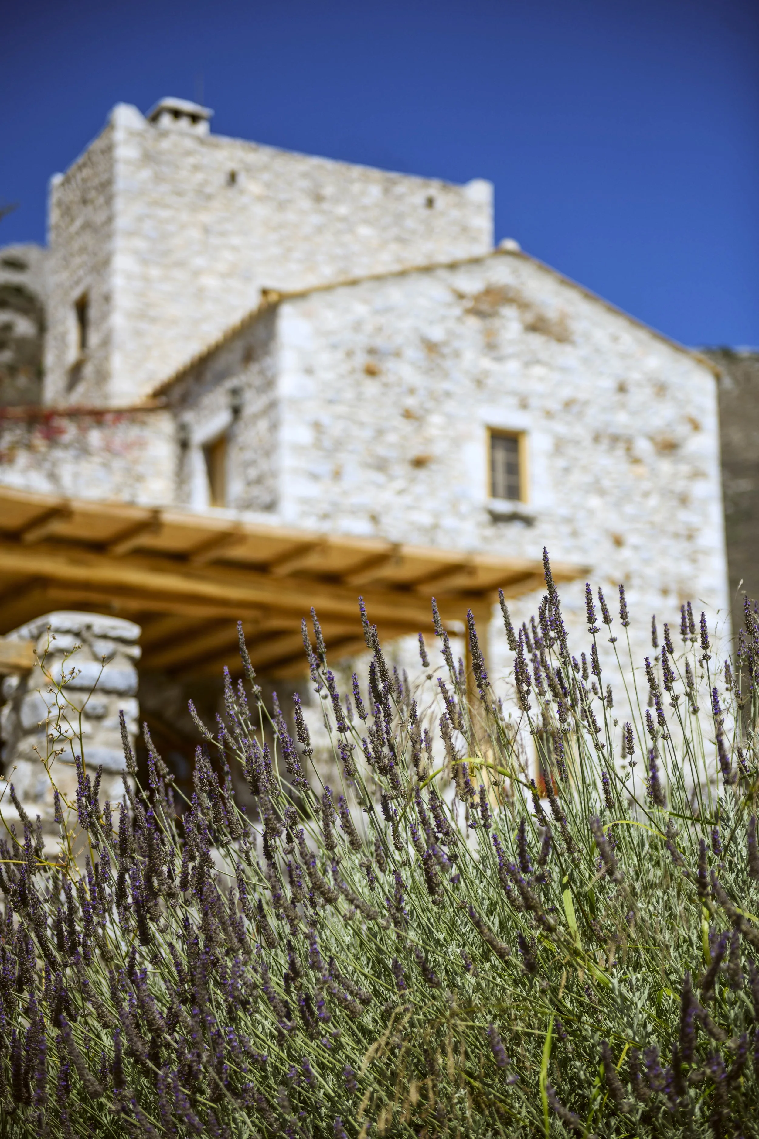 A stone house with a chimney, purple flowers in the foreground, and a clear blue sky.