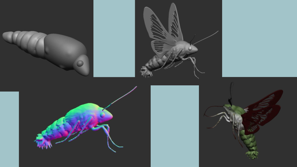 Four digital illustrations of insects and larvae displayed on a dark background with light blue blocks. The top left is a gray 3D model of a larva. The top right is a grayscale illustration of a wasp. The bottom left is a colorful, 3D rendering of a 