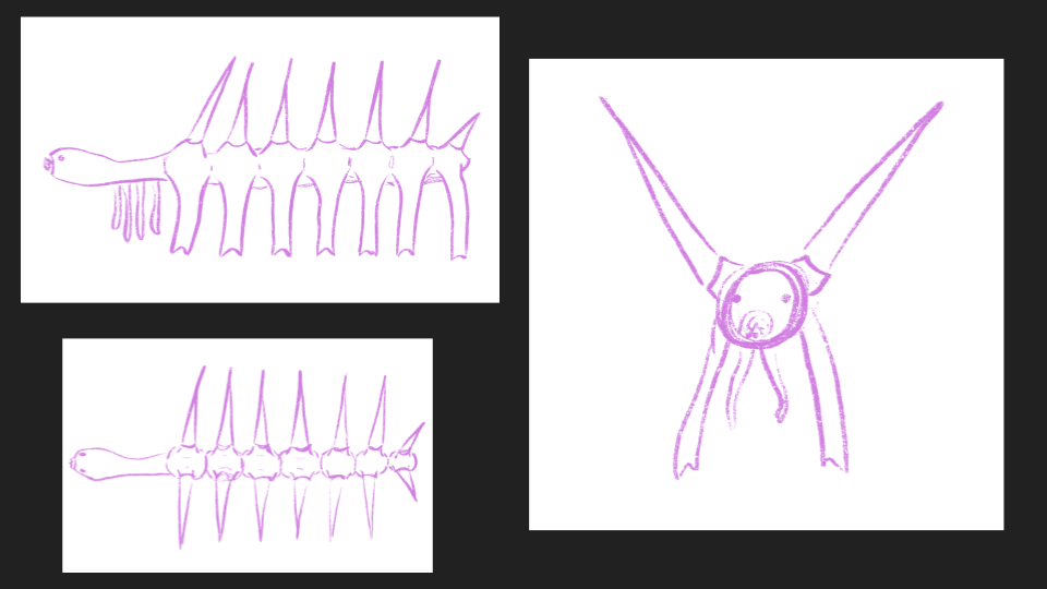 Three simple drawings of a monster with a long body, multiple spines, and a snake-like head in purple ink. The other drawing depicts a creature with wings and long limbs hanging downward.